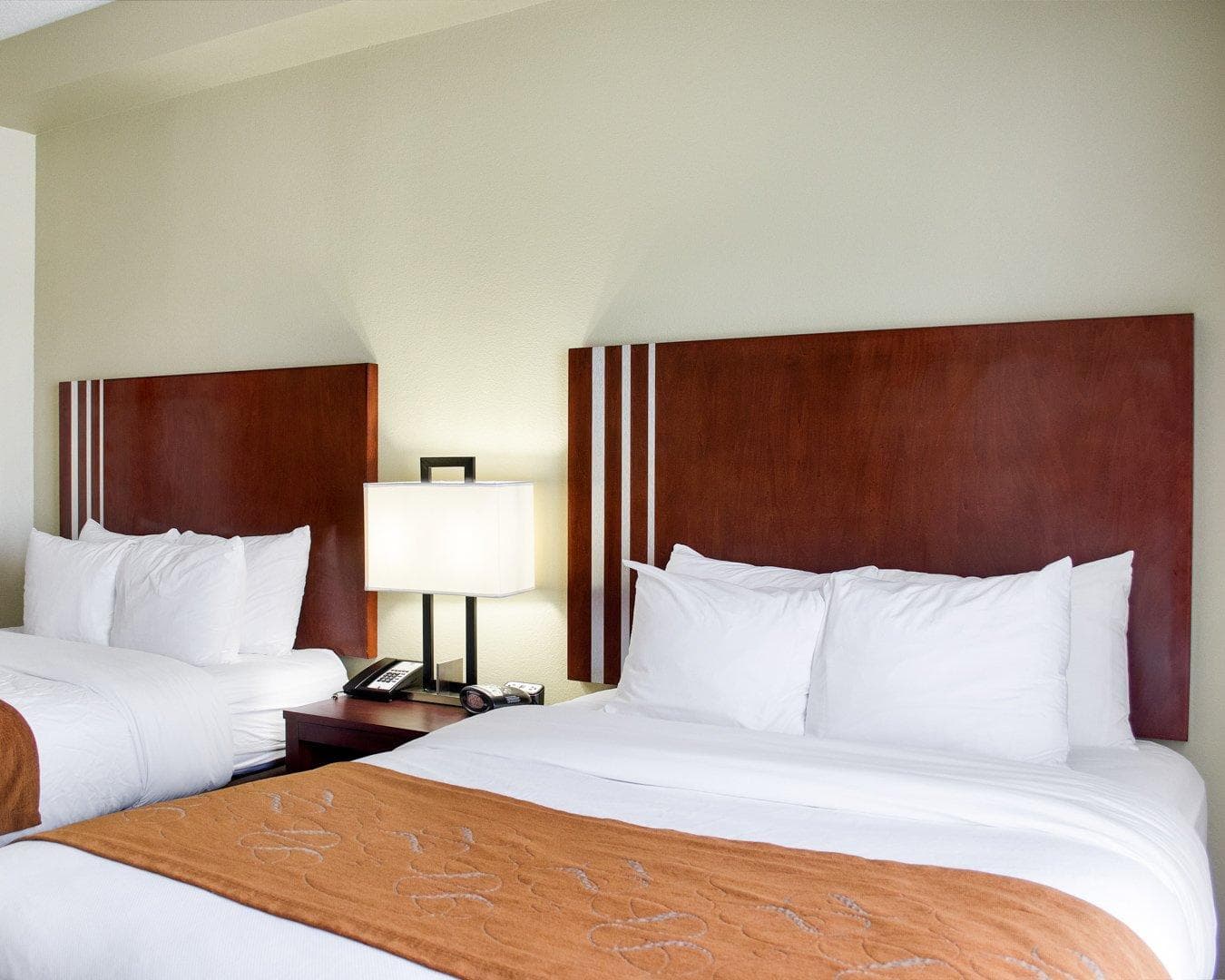 Comfort Suites Greenwood — 10