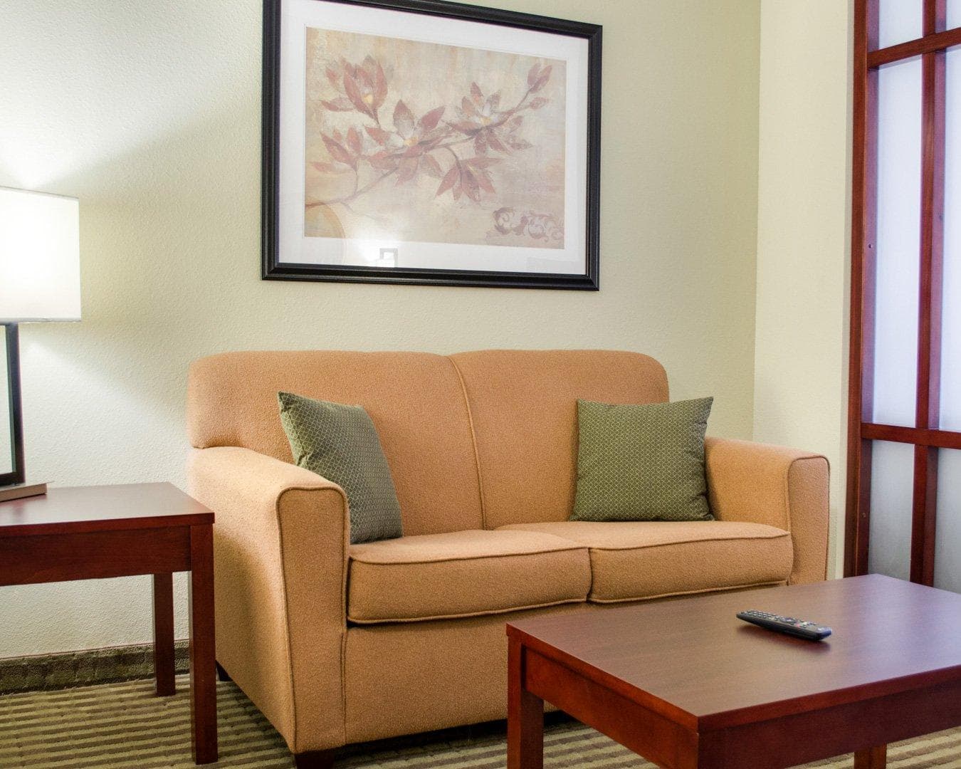 Comfort Suites Greenwood — 14