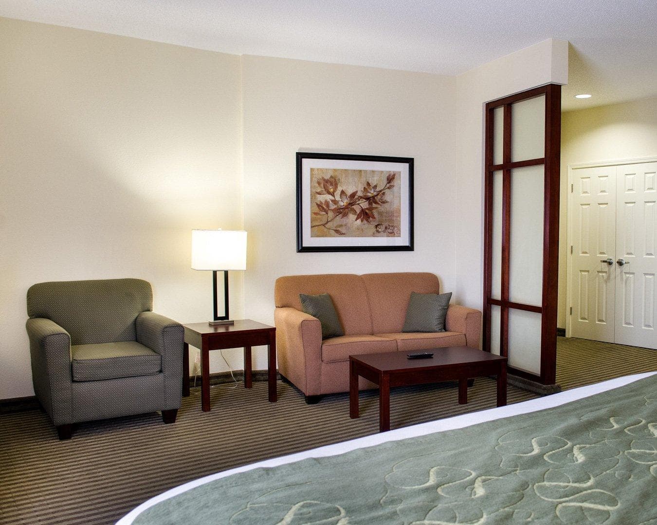 Comfort Suites Greenwood — 30