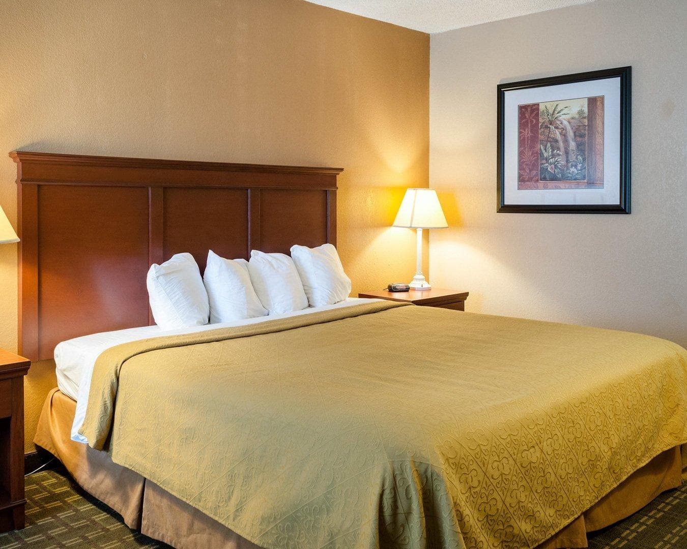 Quality Inn Louisville MS — 2