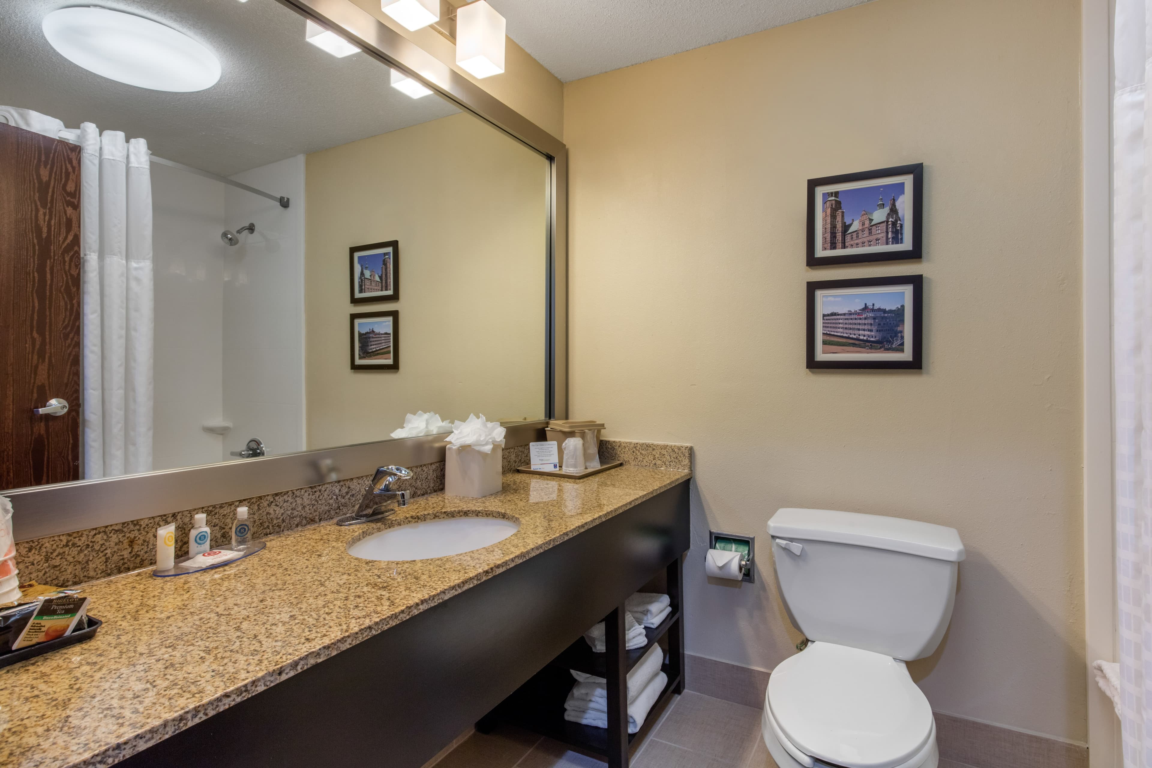 Comfort Inn Horn Lake - Southhaven — 23