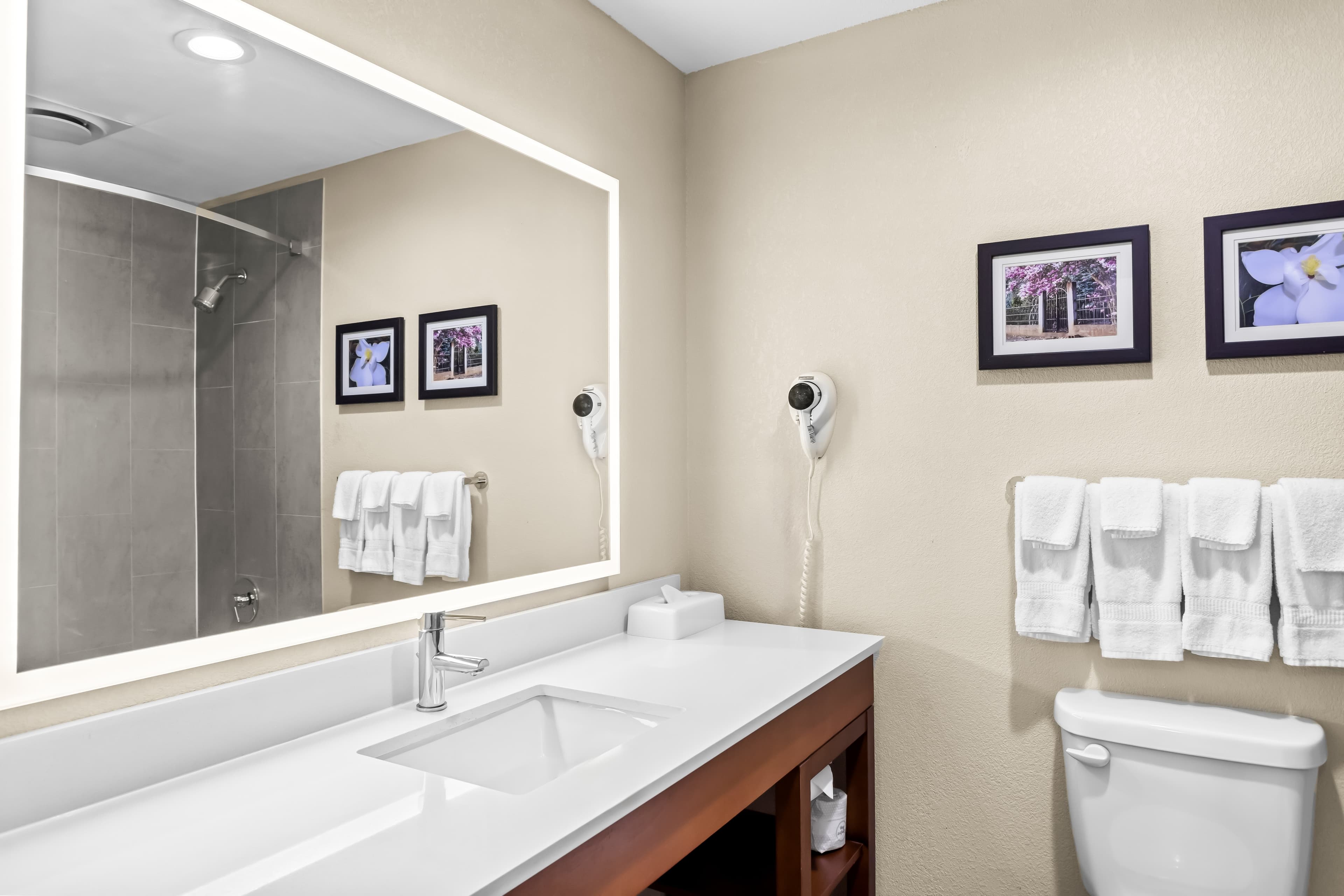 Comfort Inn & Suites Grenada — 21