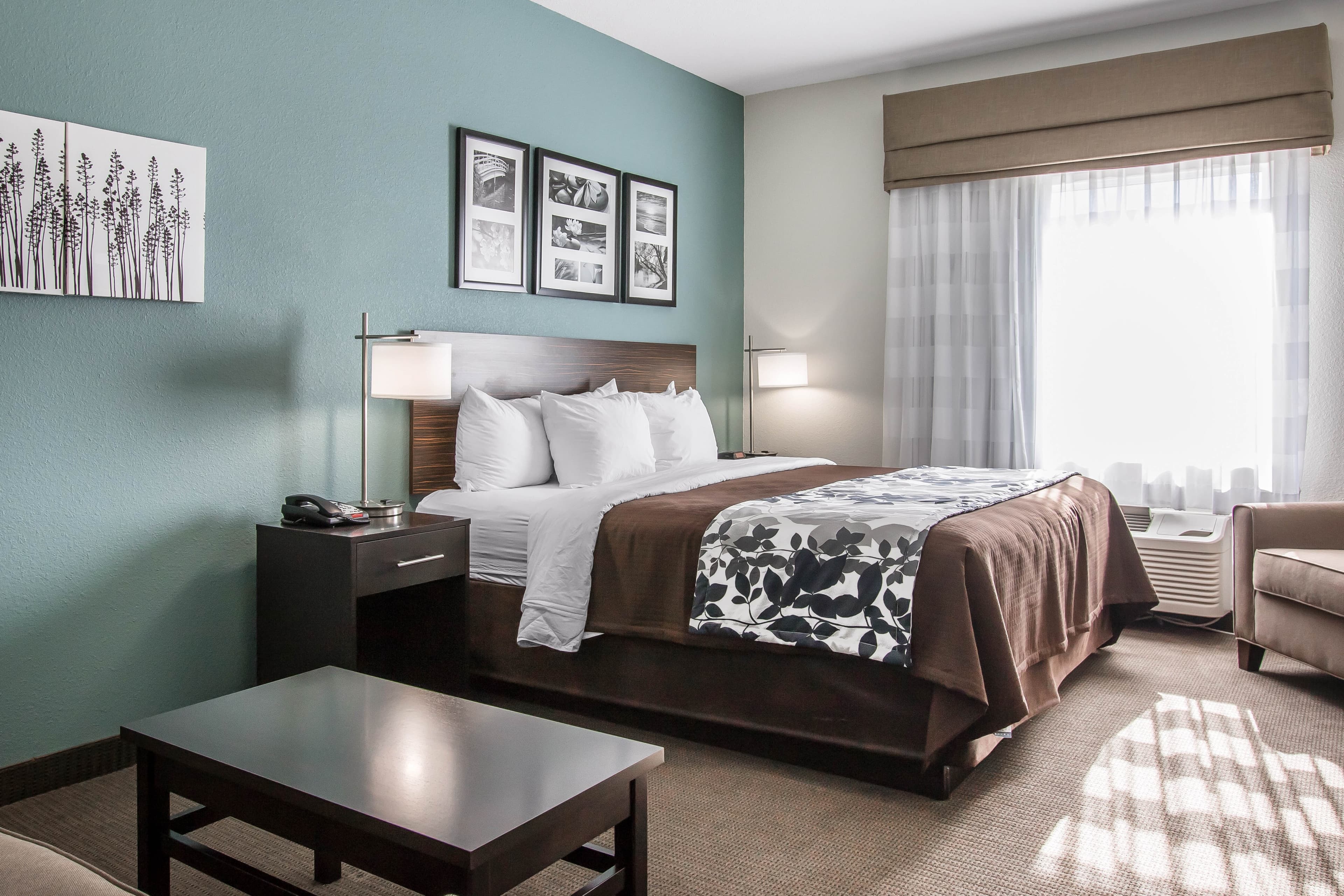 Sleep Inn & Suites Meridian - Bonita Lakes — 11