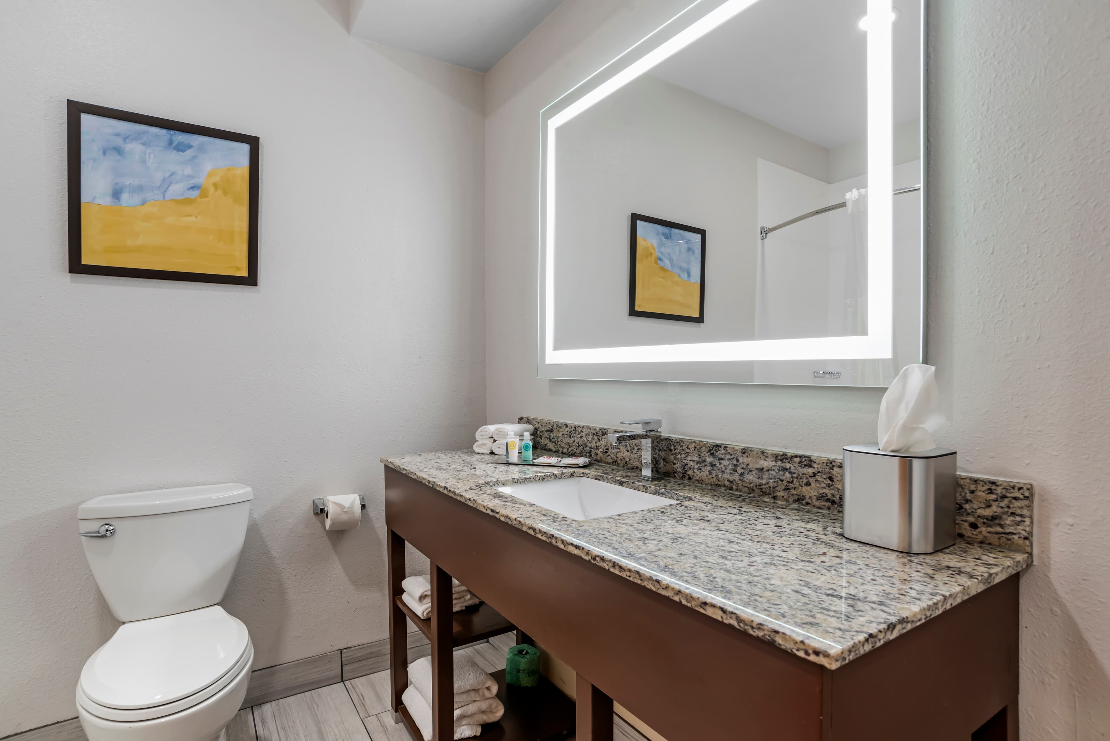 Comfort Suites Hattiesburg near University — 21