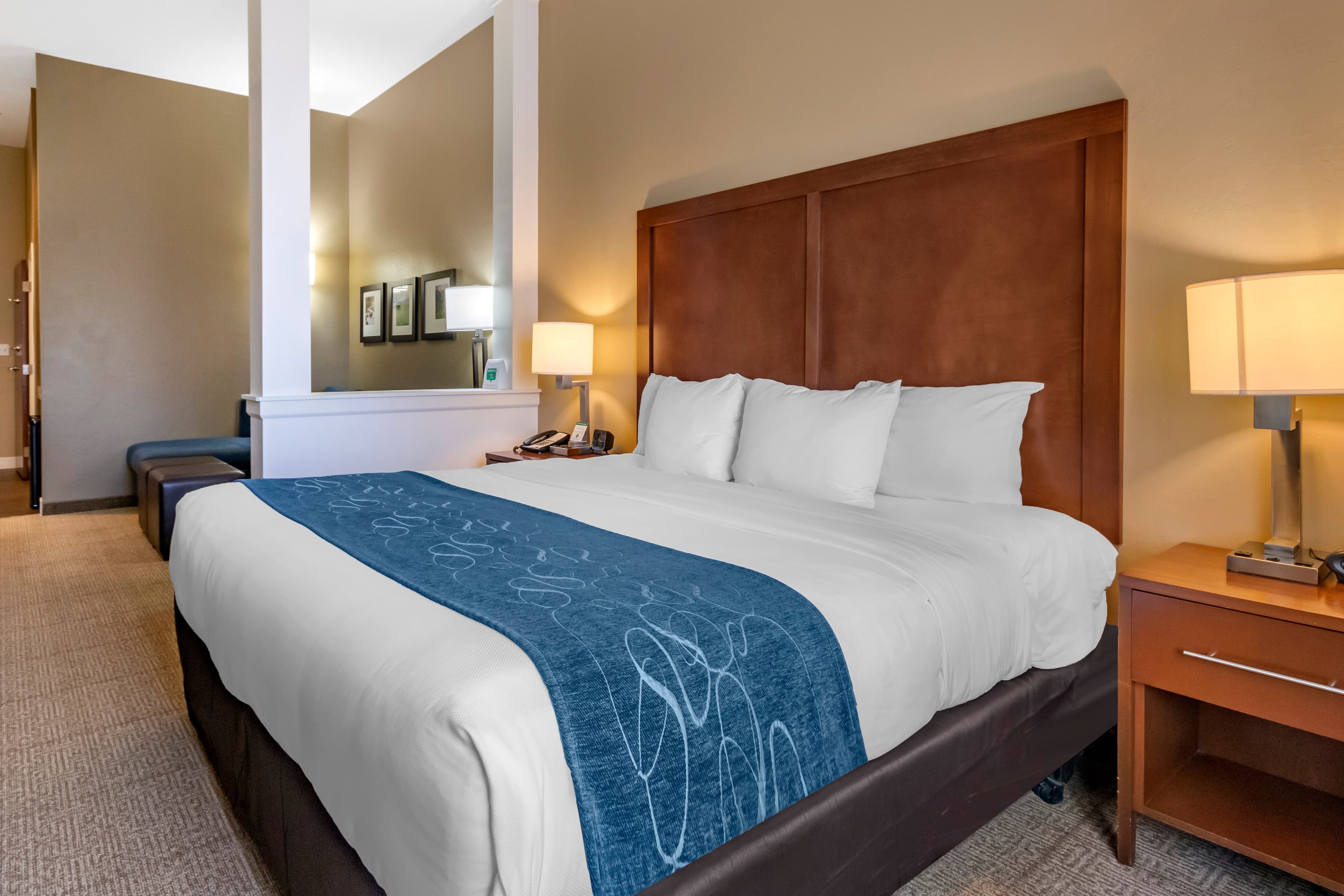 Comfort Suites Airport-University - Image 2