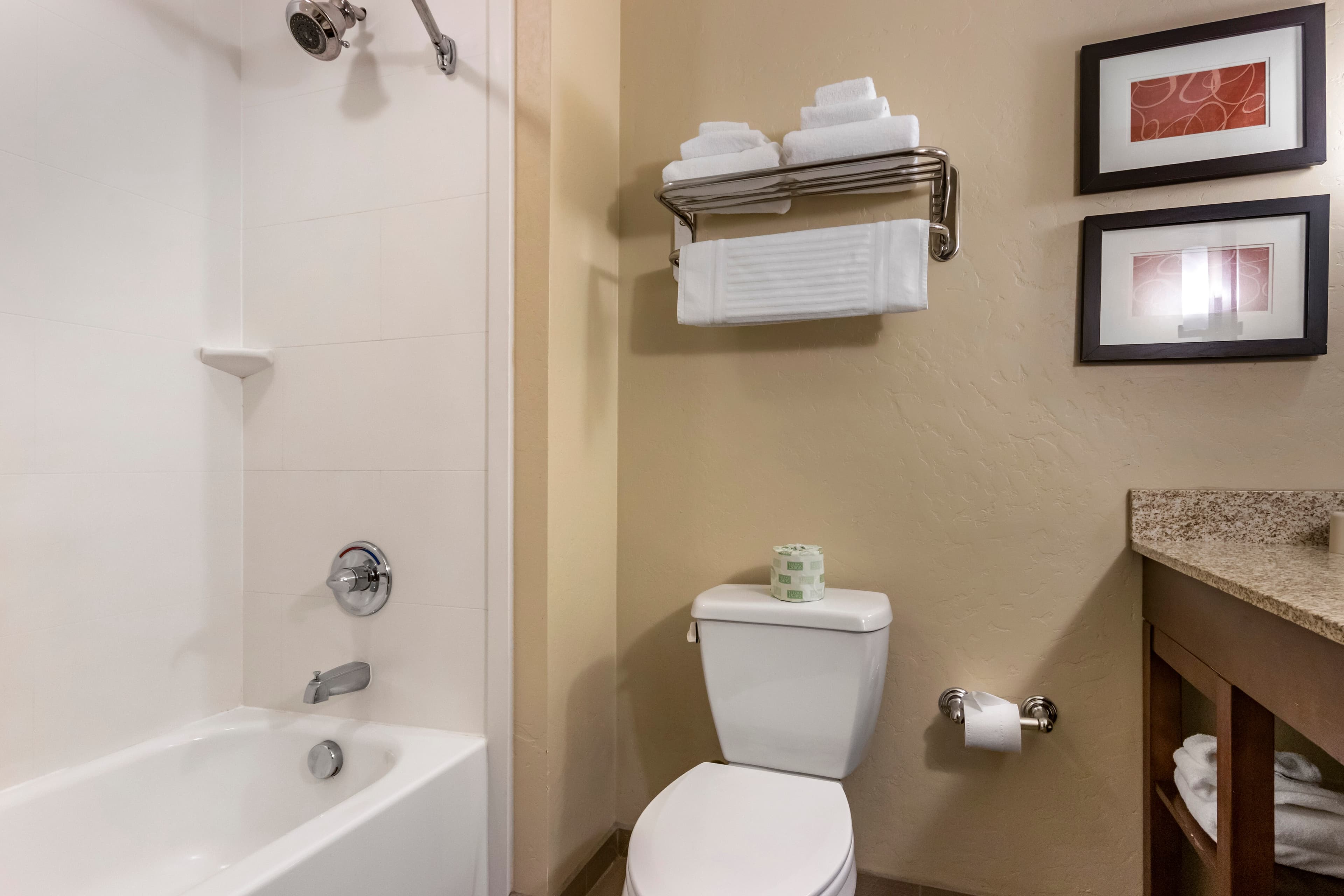 Comfort Suites Airport-University — 18