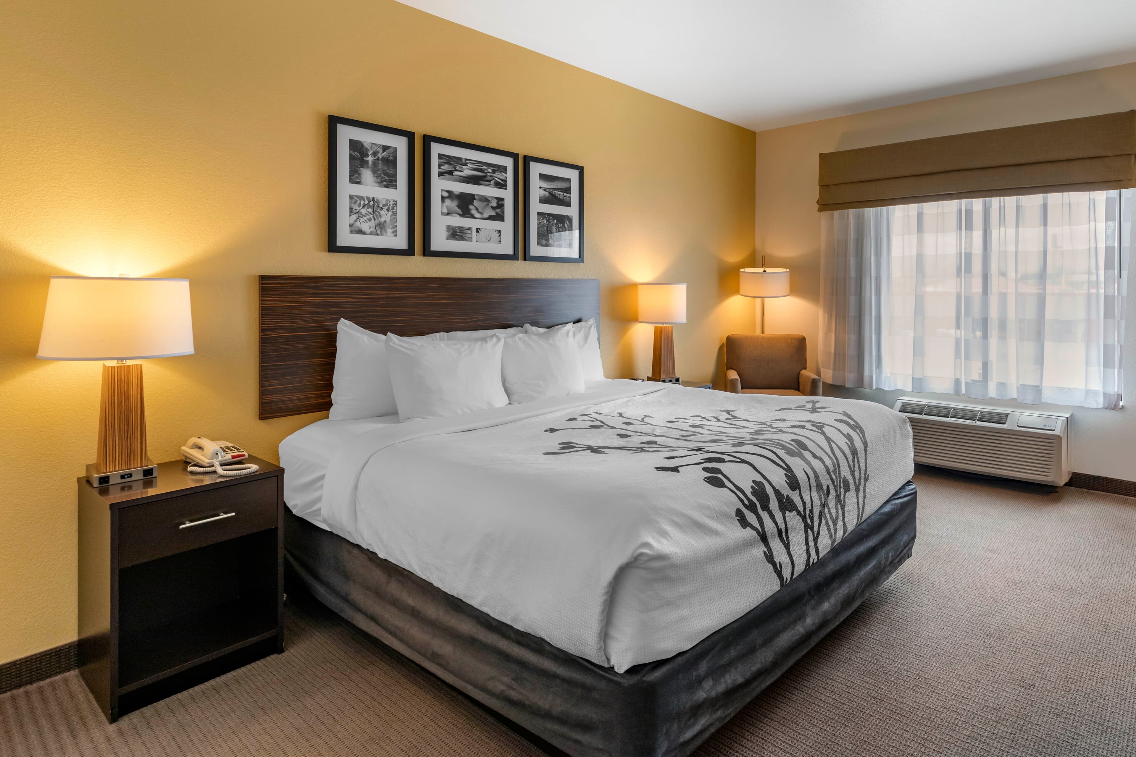 Sleep Inn & Suites Miles City I-94 - Image 2