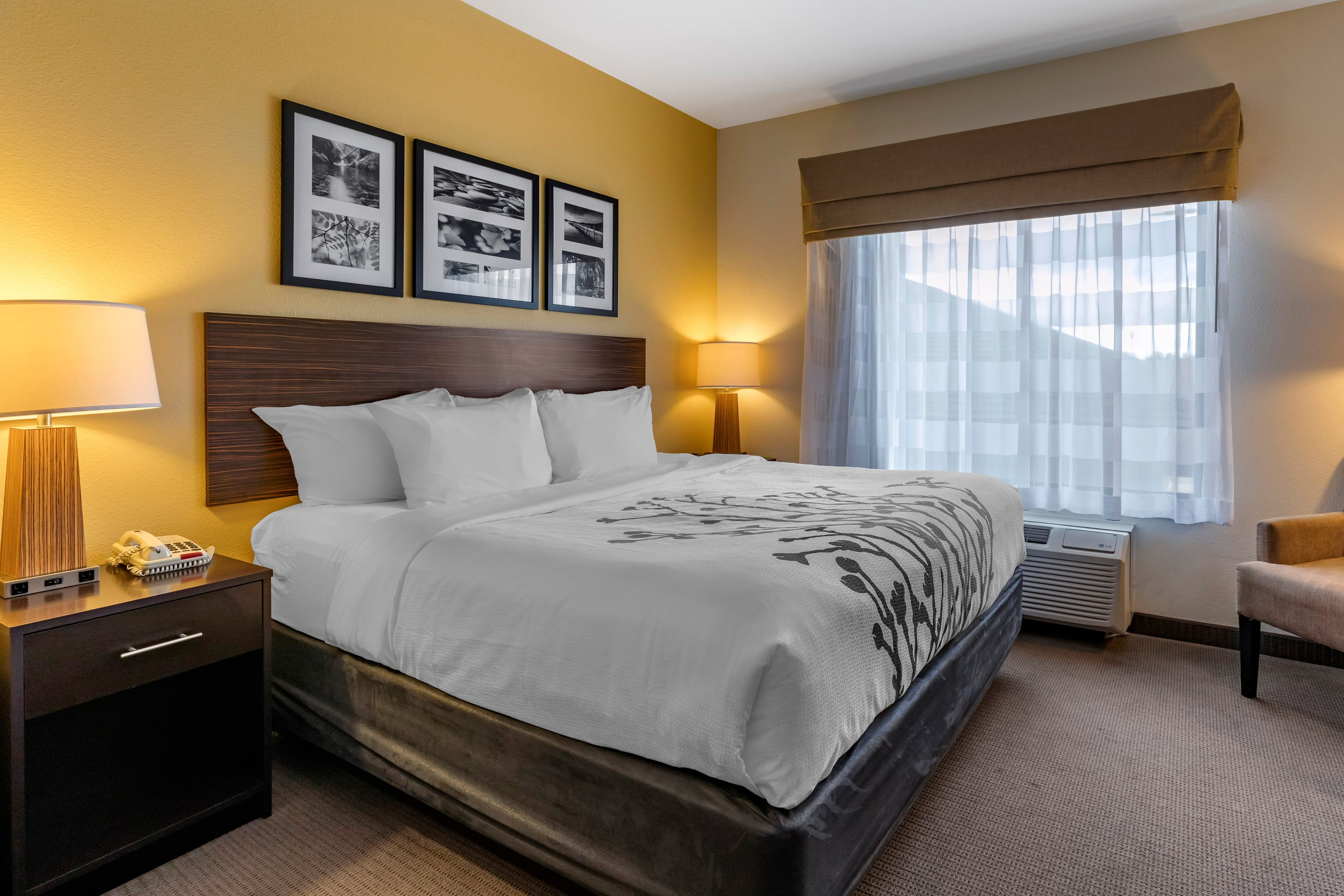 Sleep Inn & Suites Miles City I-94 — 26