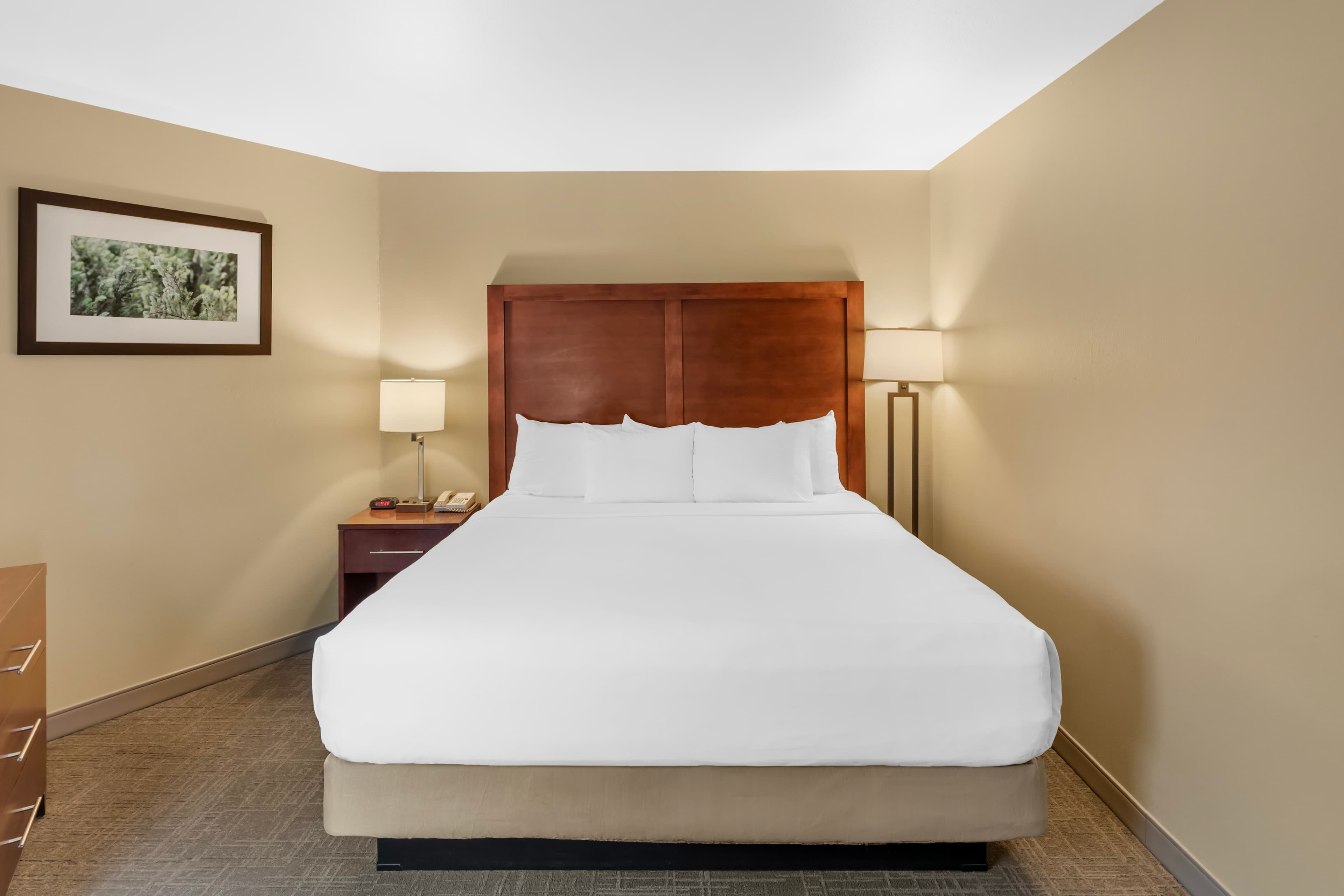 Comfort Inn Missoula near University — 18