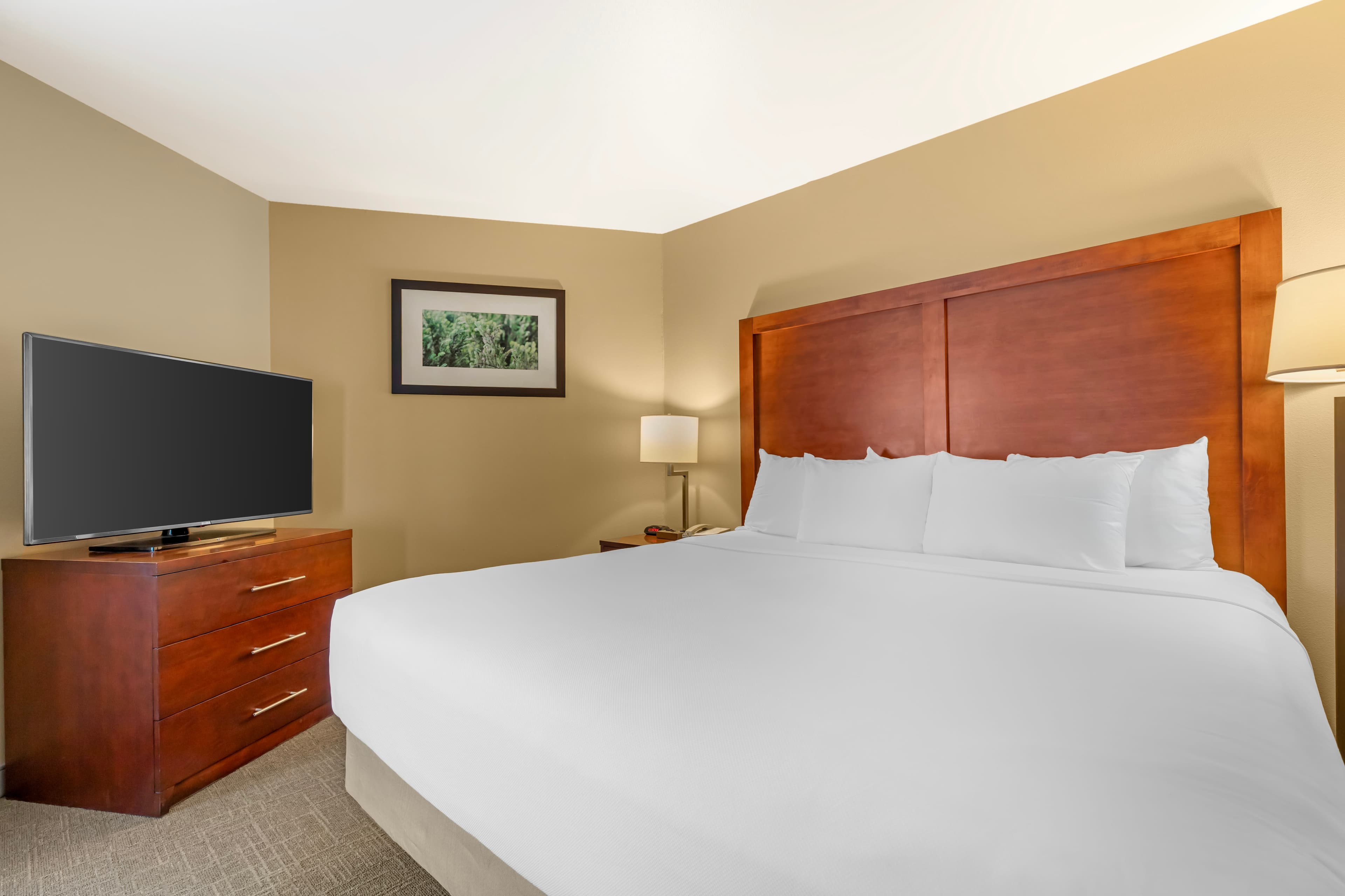Comfort Inn Missoula near University — 19