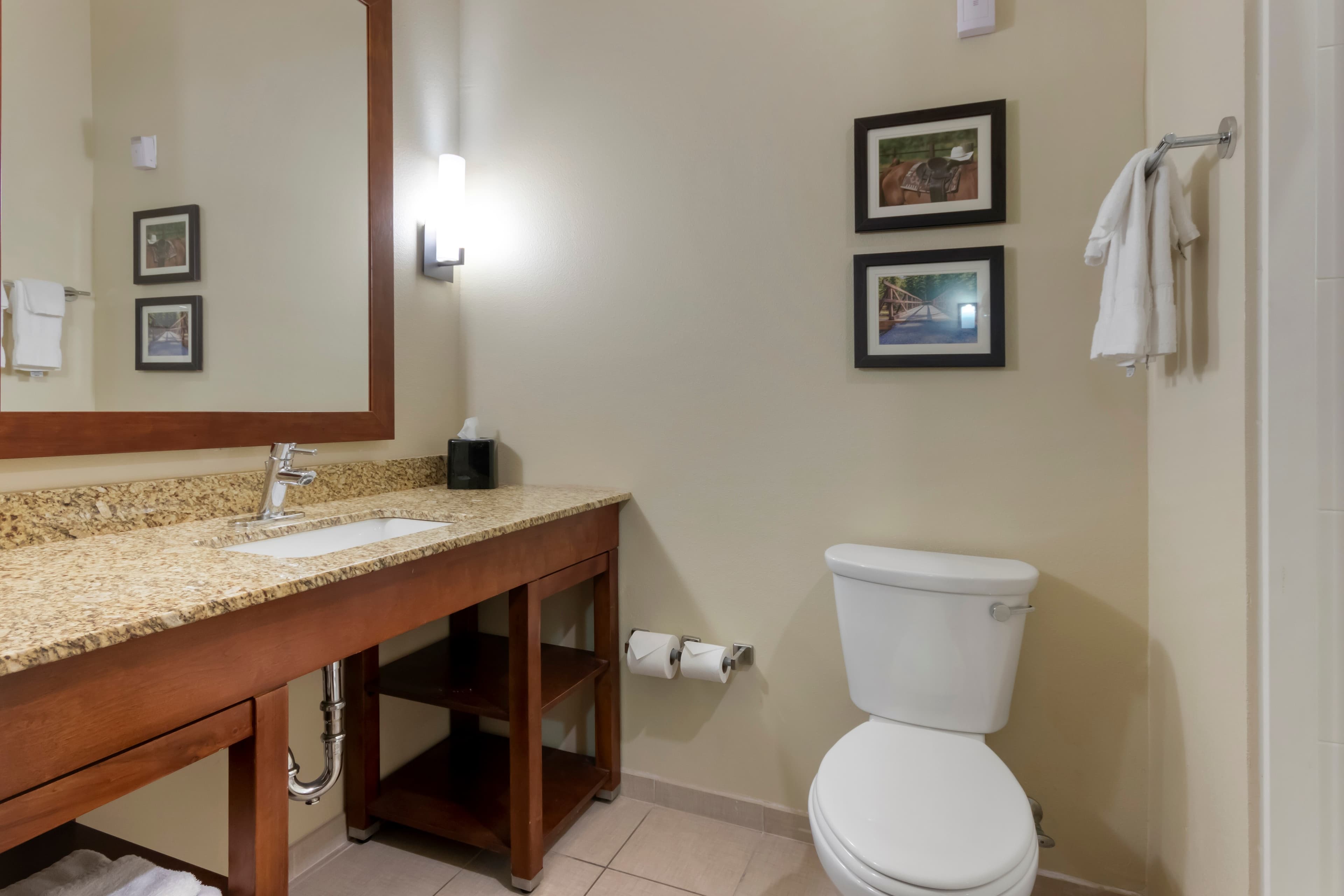 Comfort Suites Billings — 17