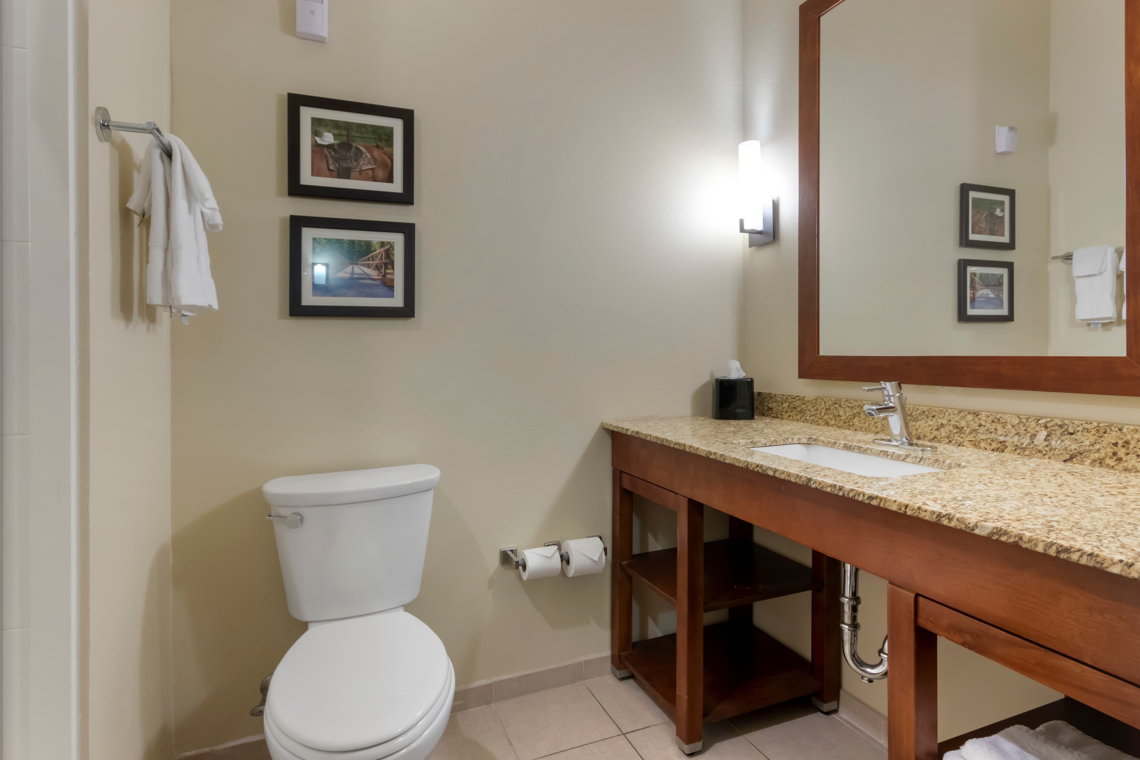 Comfort Suites Billings — 25