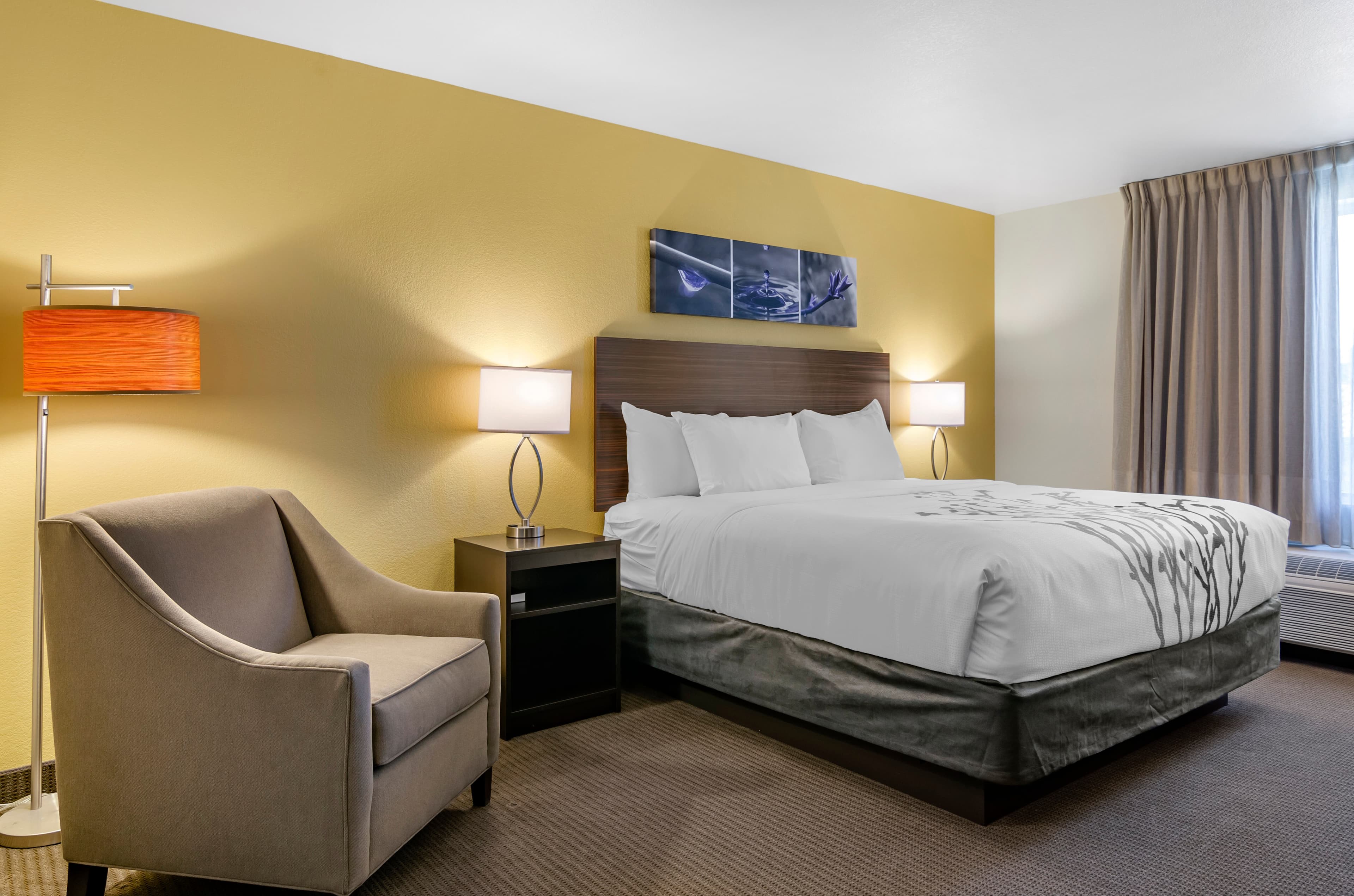 Sleep Inn & Suites Great Falls Airport - Image 2