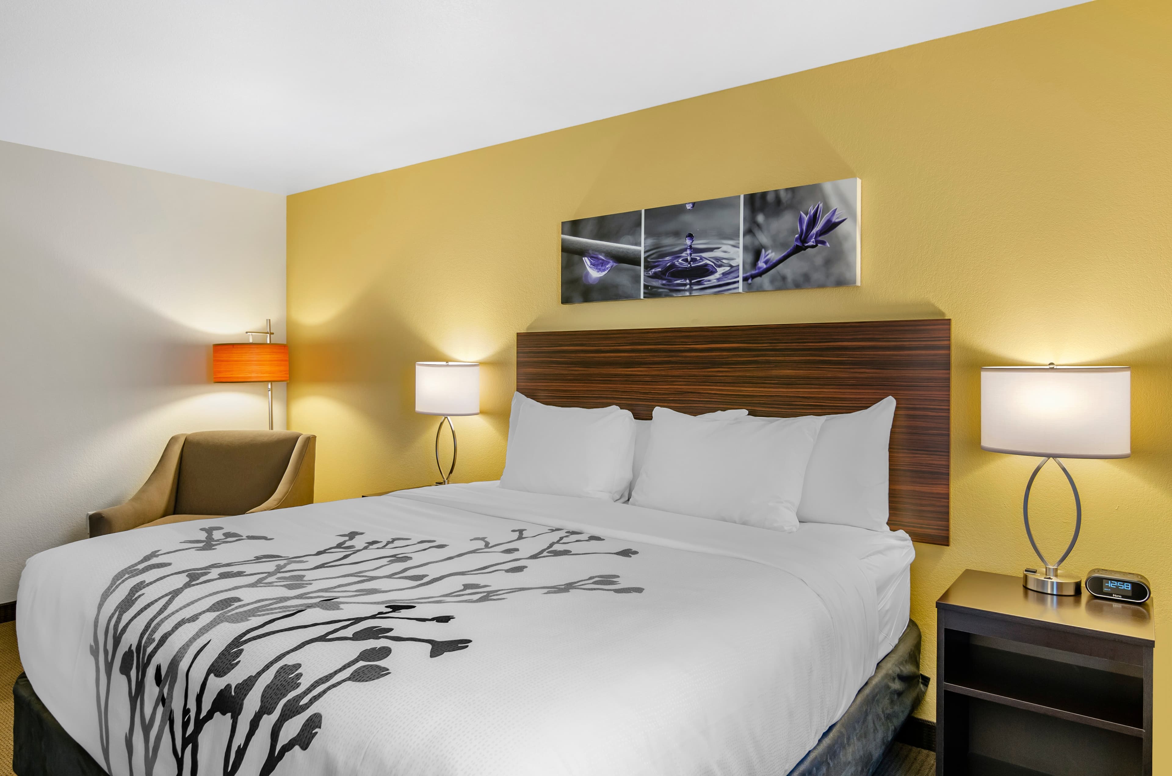 Sleep Inn & Suites Great Falls Airport - Image 5