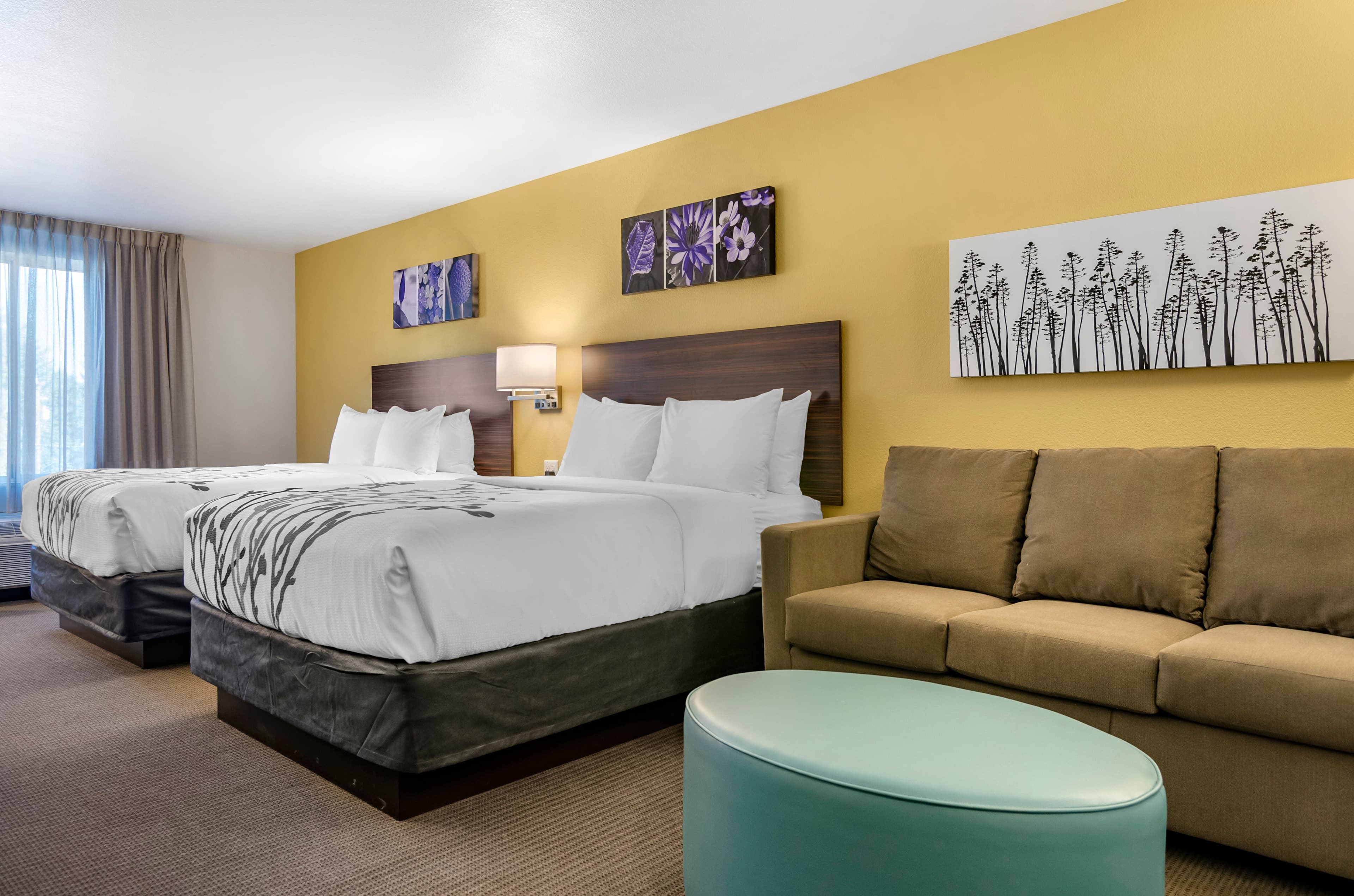 Sleep Inn & Suites Great Falls Airport — 7