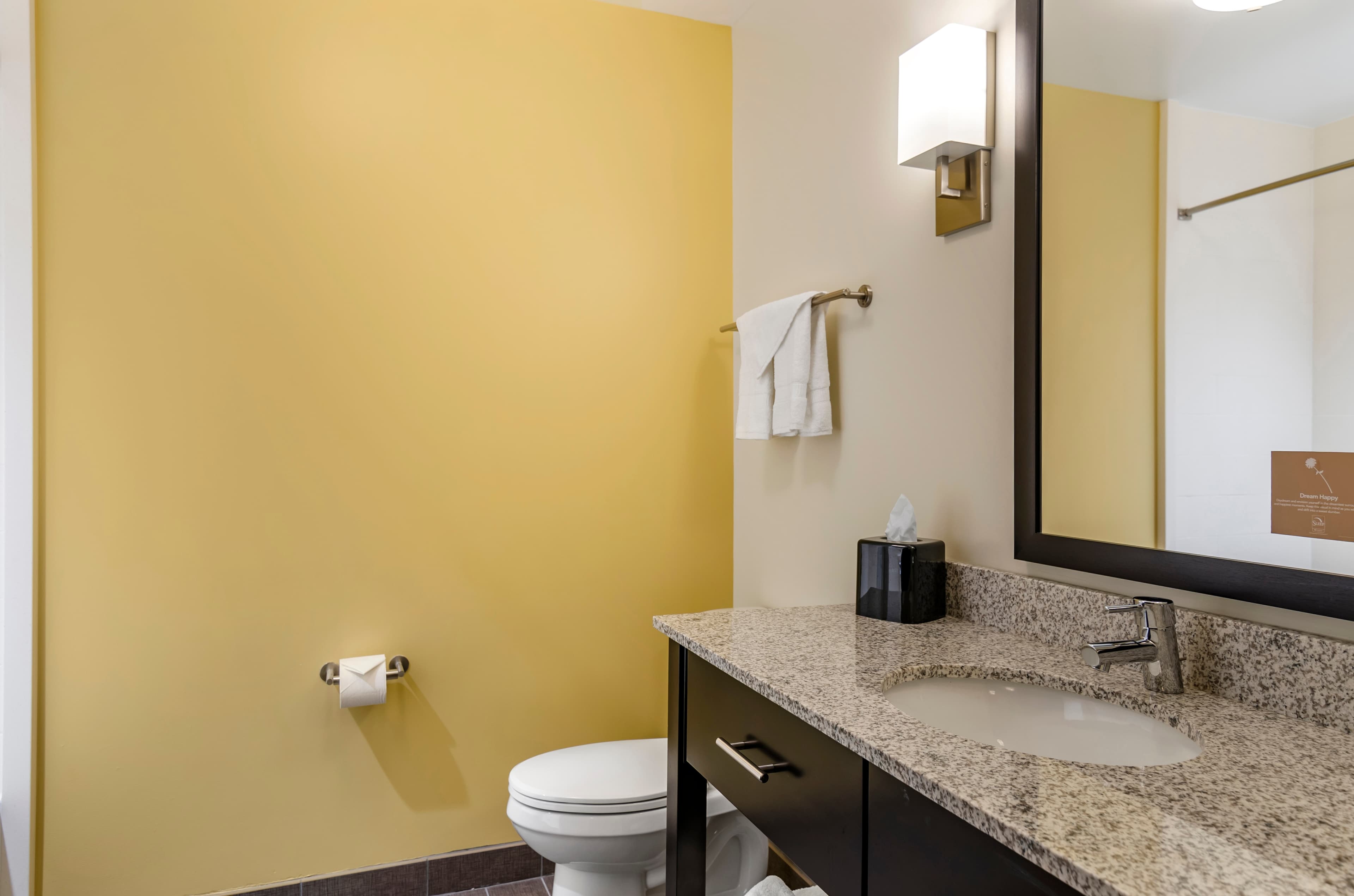 Sleep Inn & Suites Great Falls Airport — 9