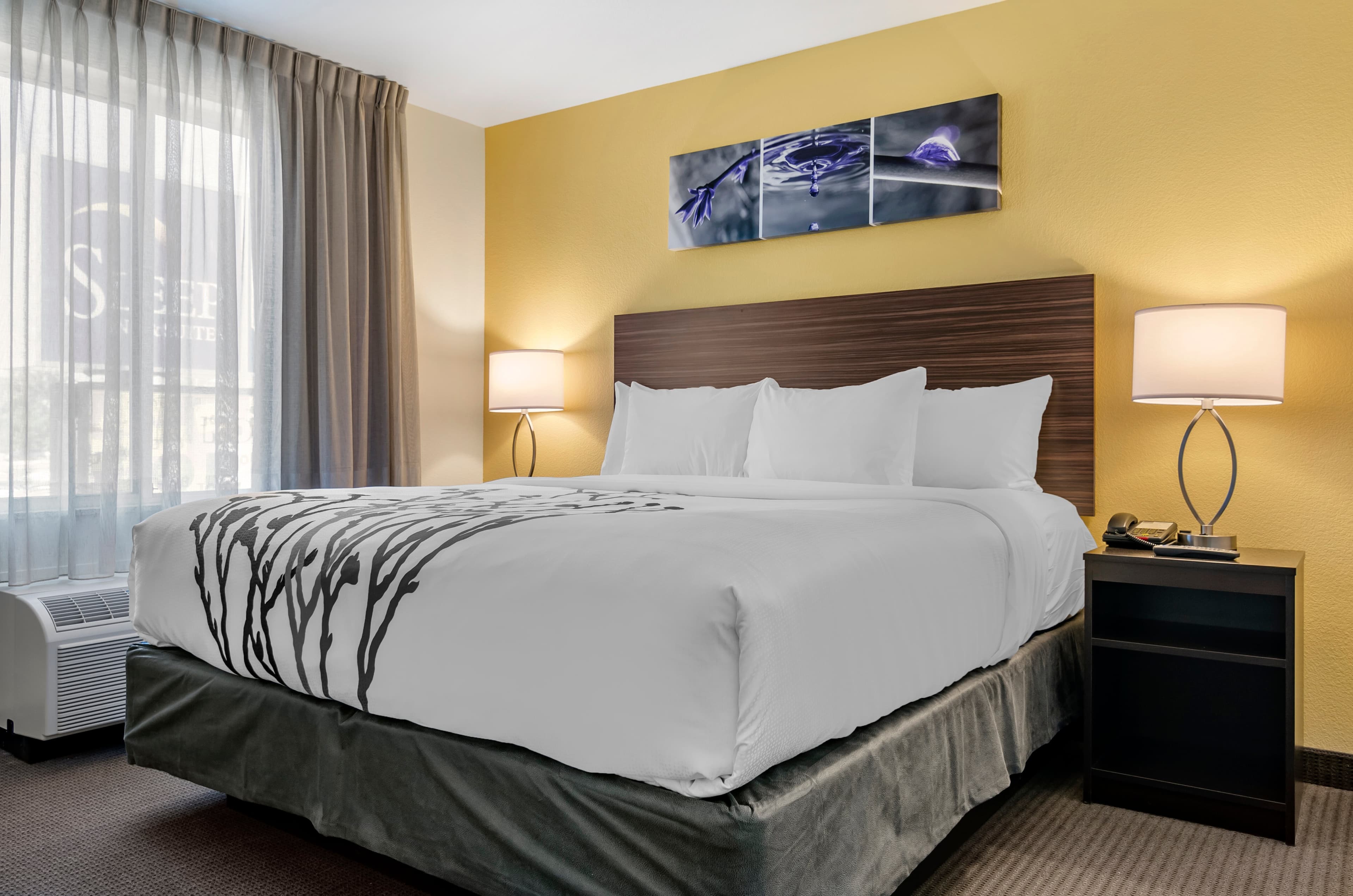 Sleep Inn & Suites Great Falls Airport - Image 3