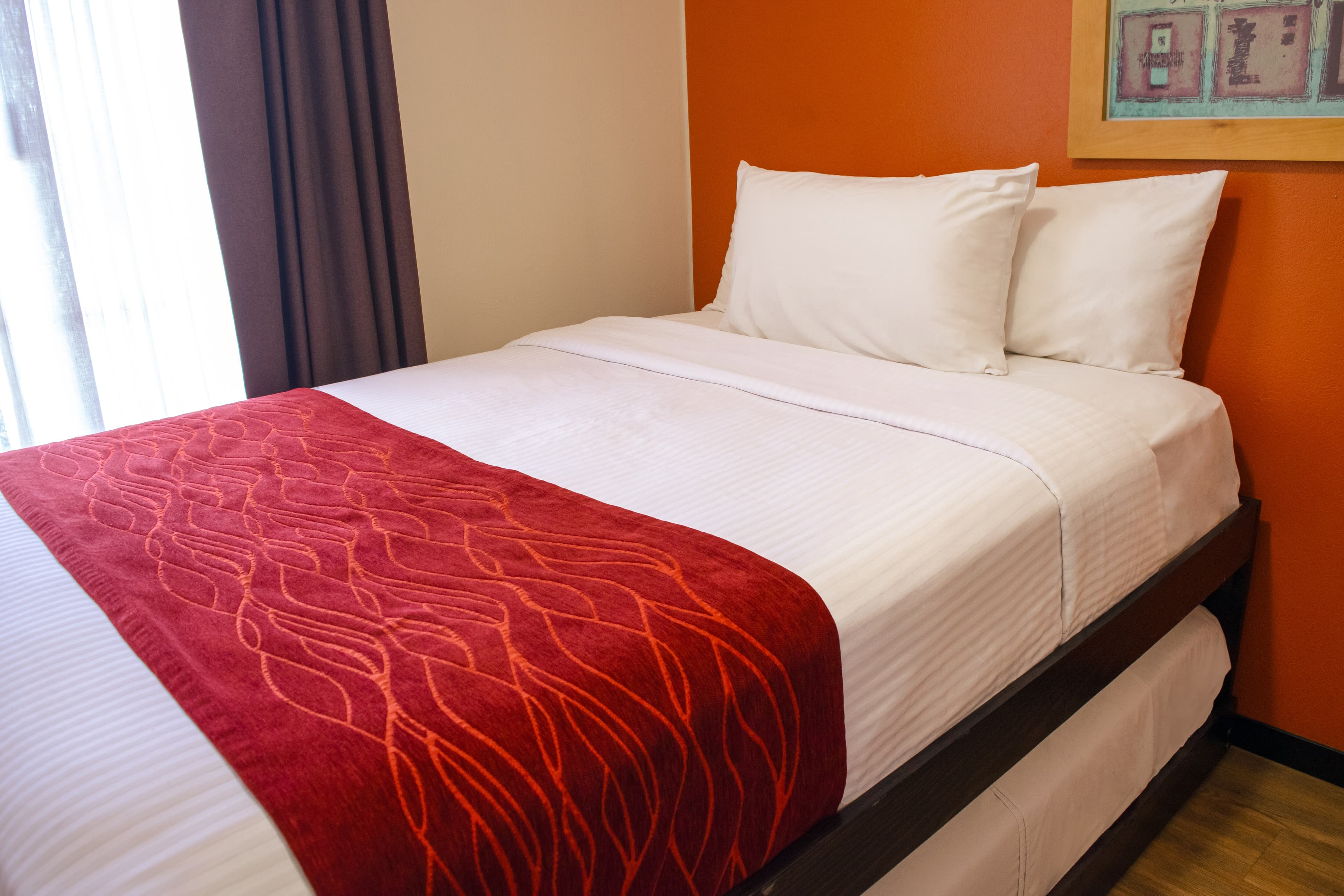 Comfort Inn San Luis Potosi - Image 3