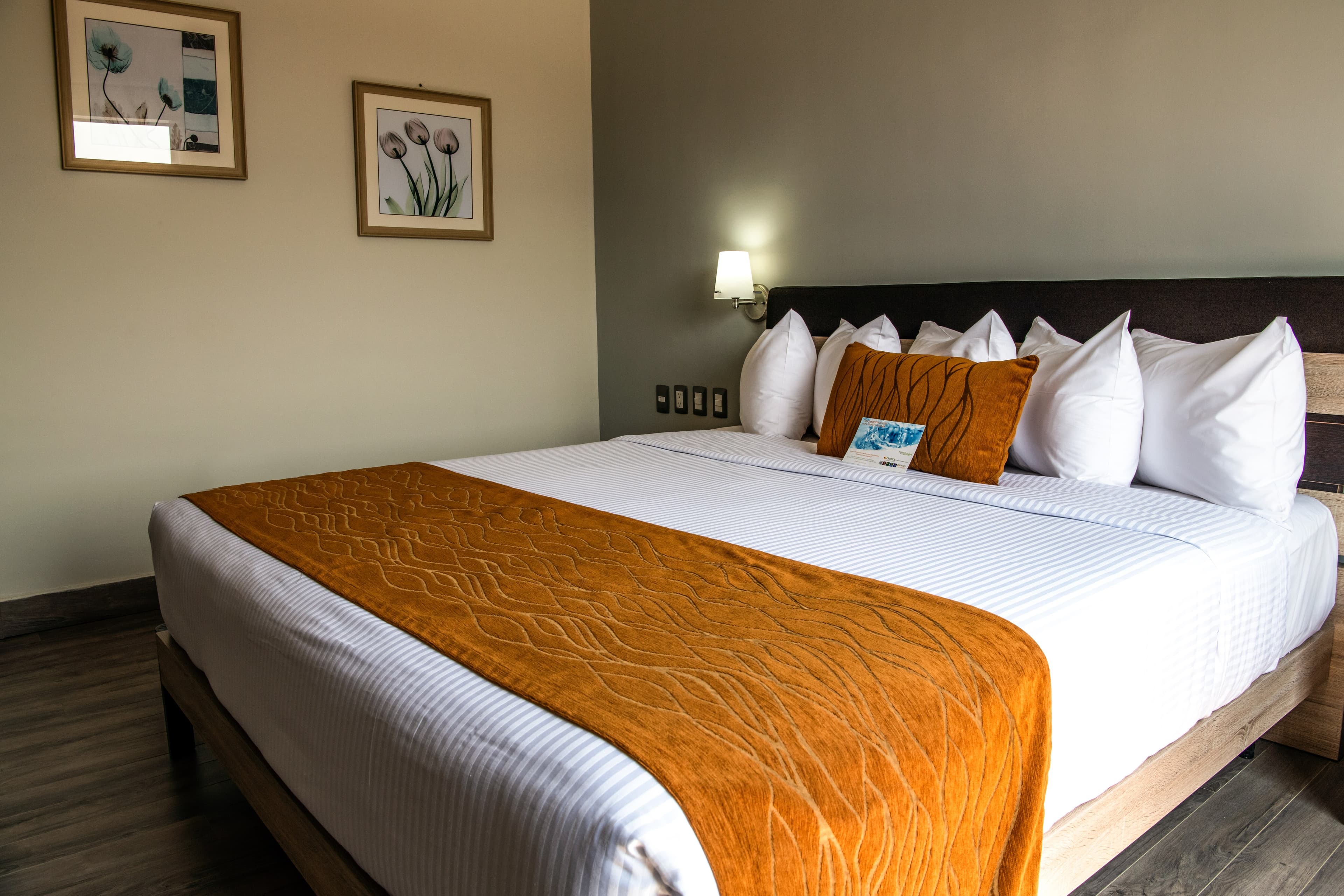 Comfort Inn Irapuato — 13