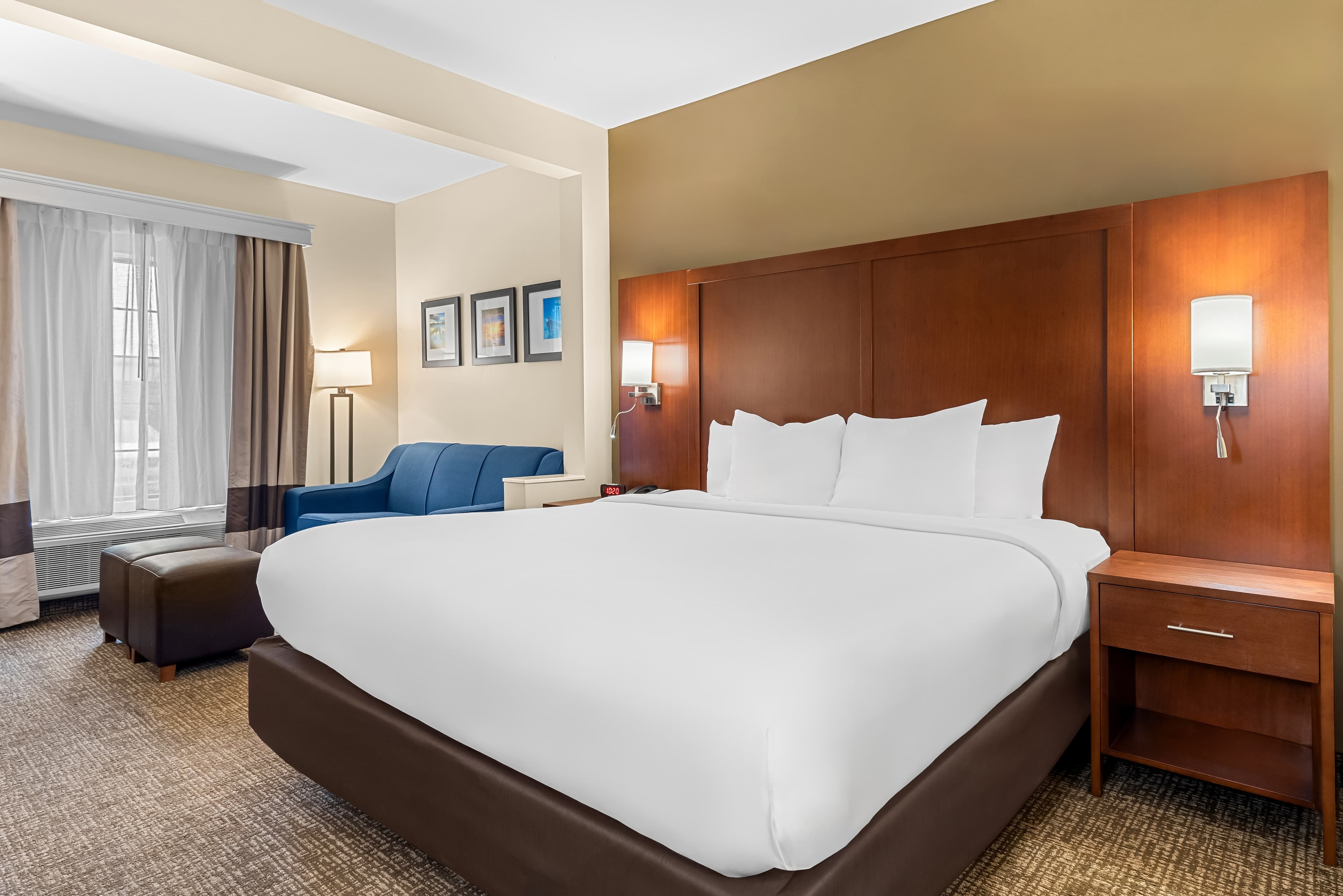 Comfort Suites Near Camp Lejeune — 6
