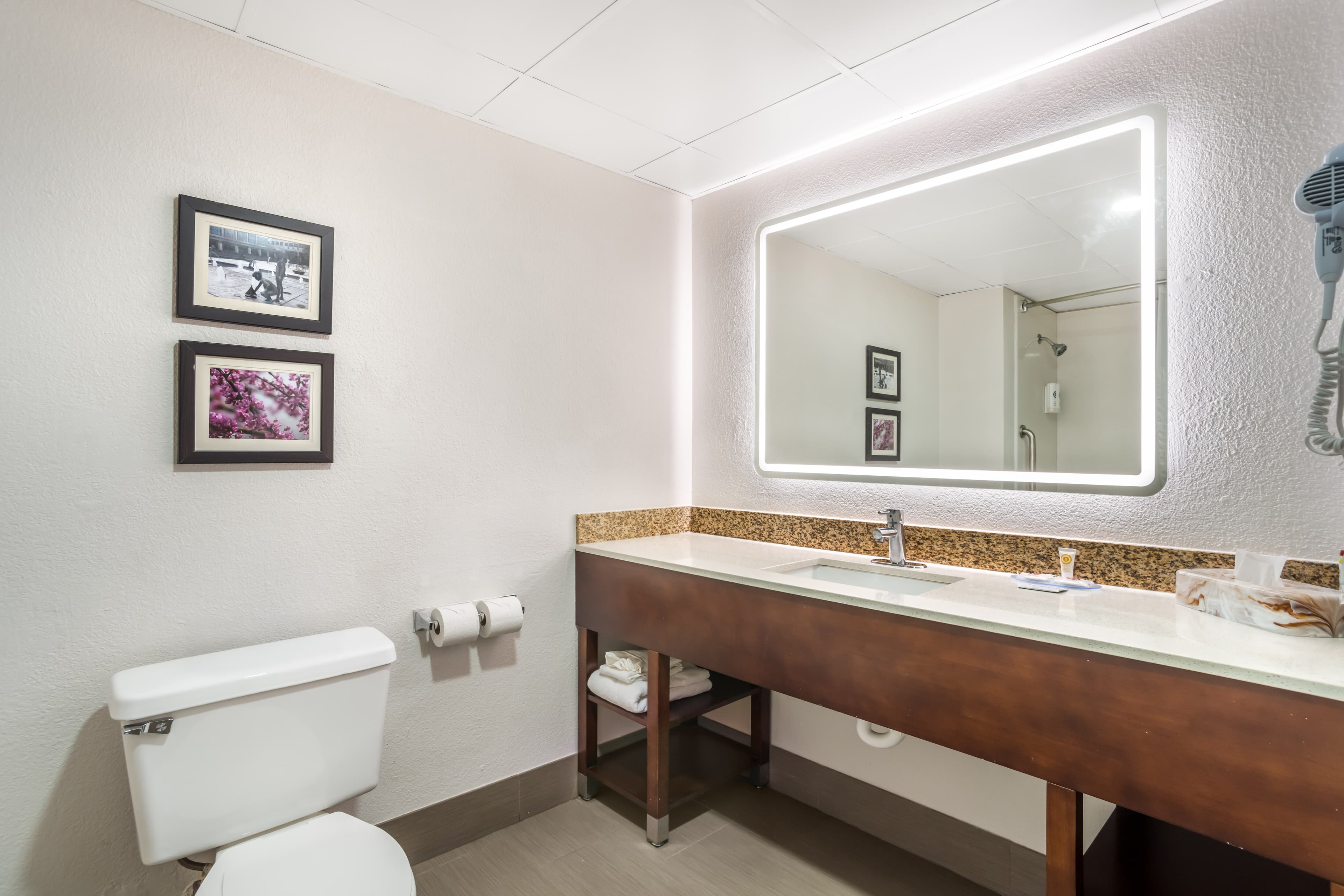 Comfort Inn Charlotte Airport Uptown - Image 5