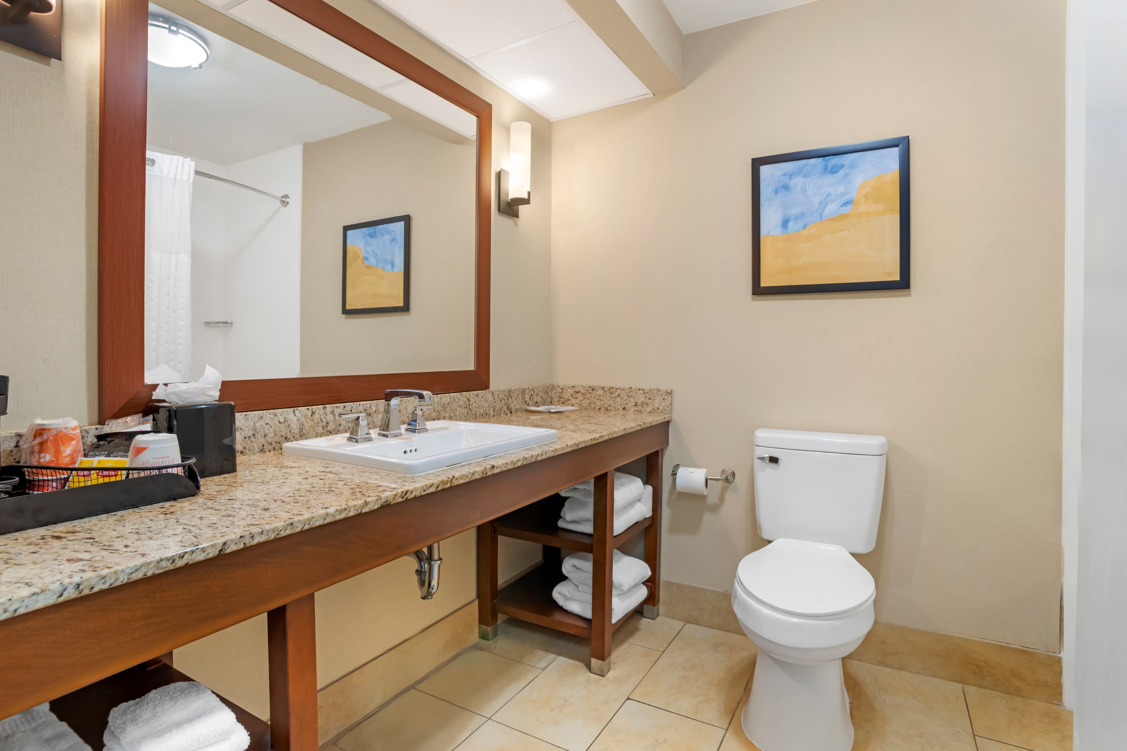 Comfort Suites Gastonia - Charlotte — 17