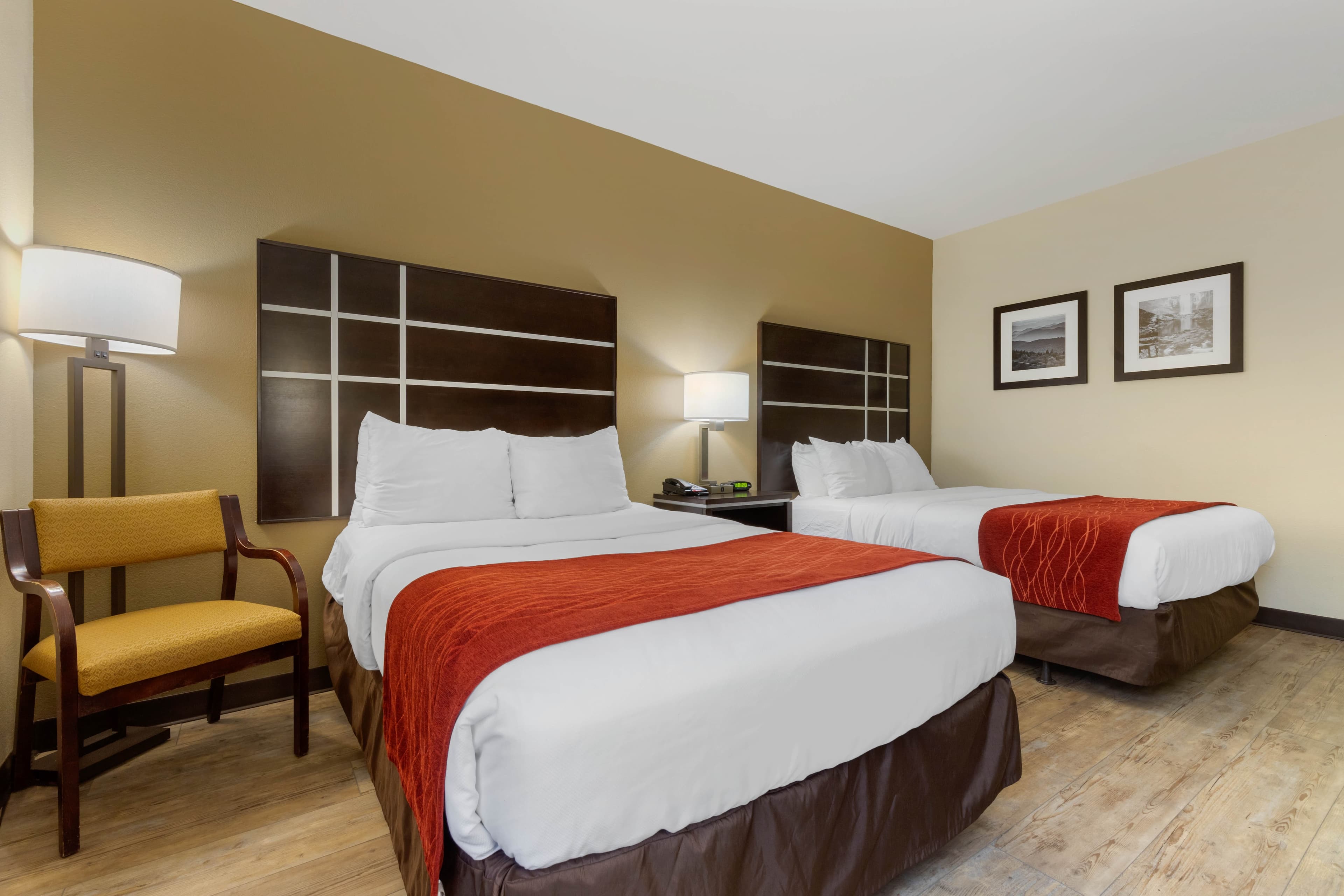 Comfort Inn North of Asheville — 3
