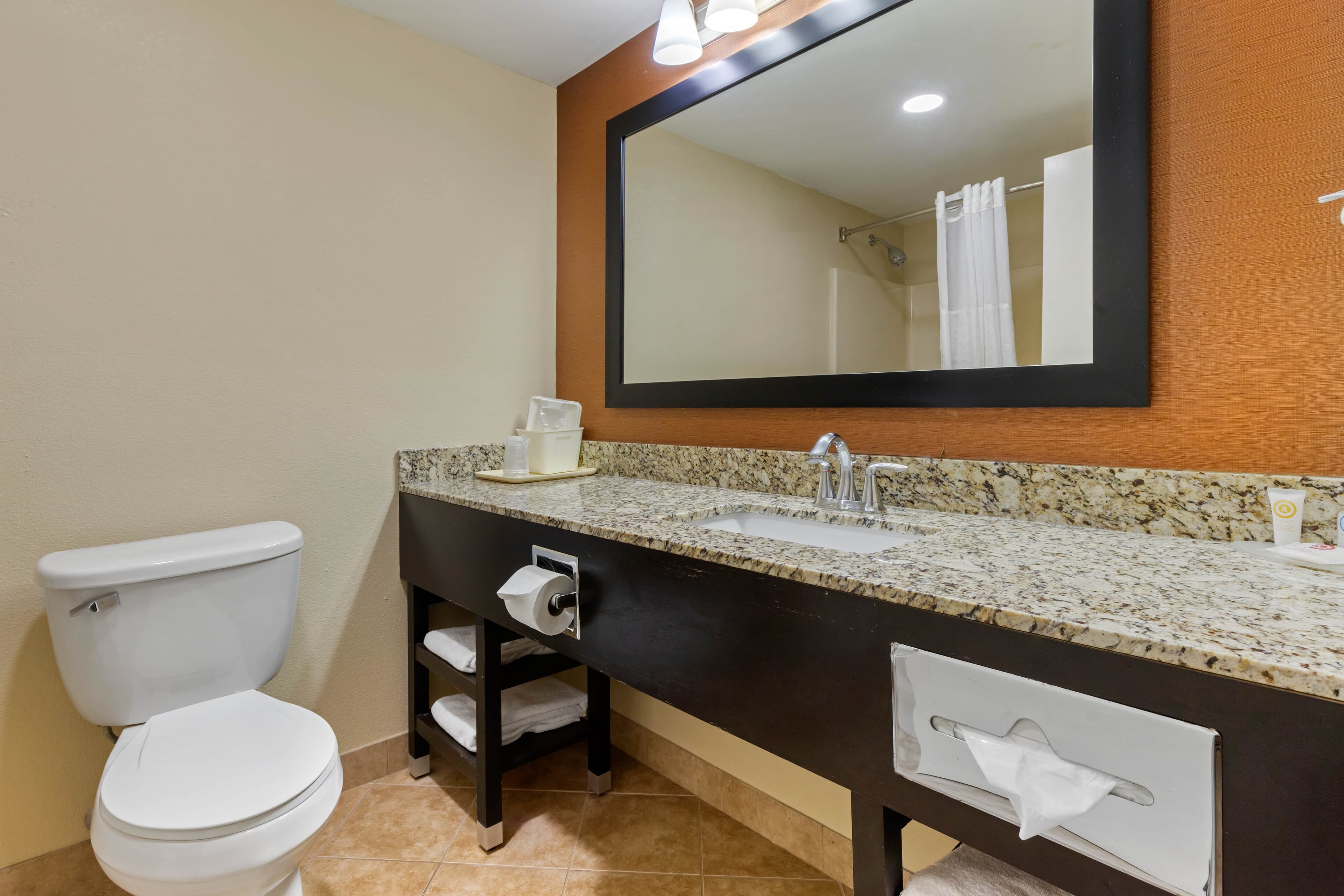 Comfort Inn North of Asheville — 15
