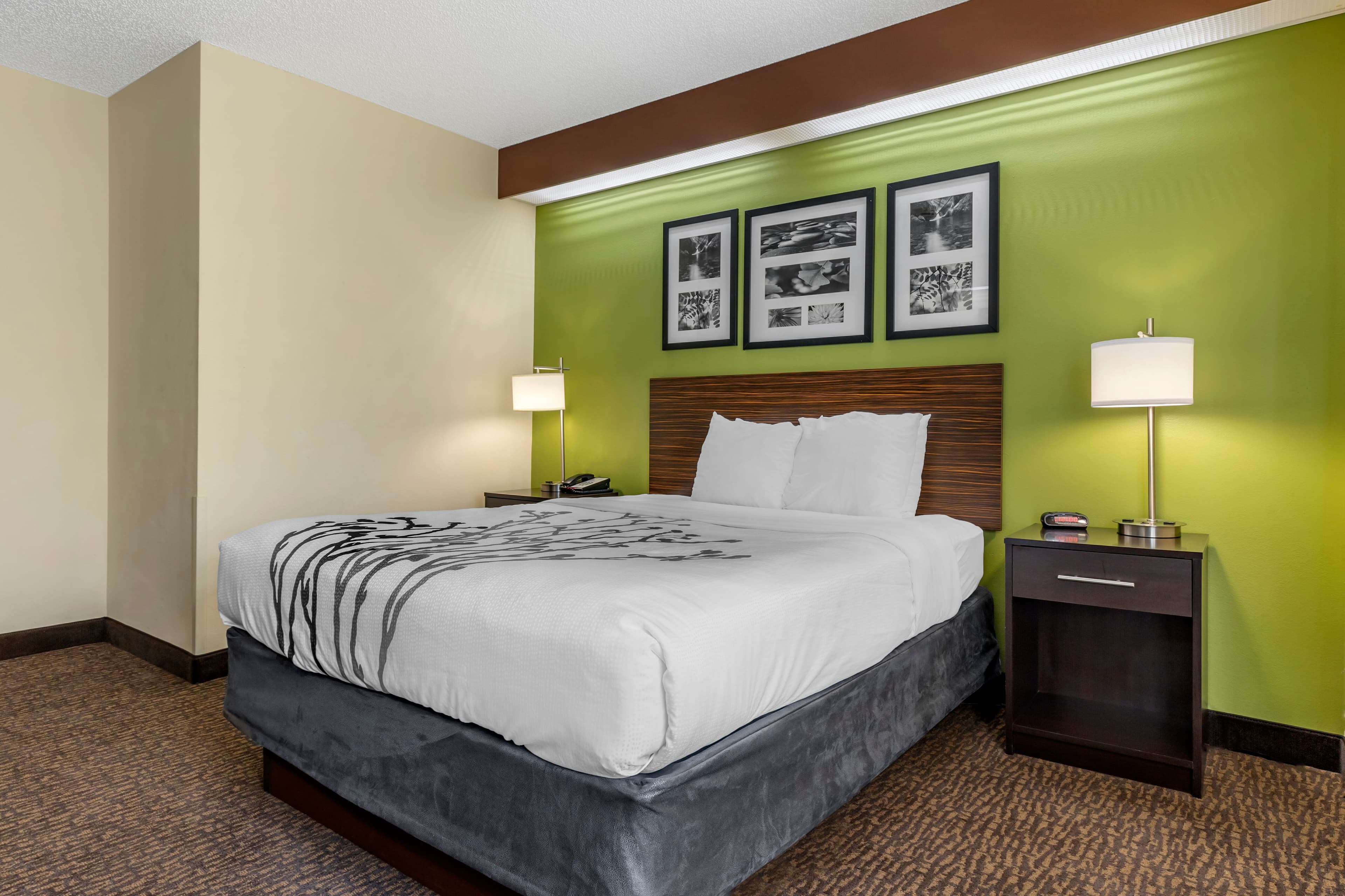 Sleep Inn Matthews - Charlotte - Image 2