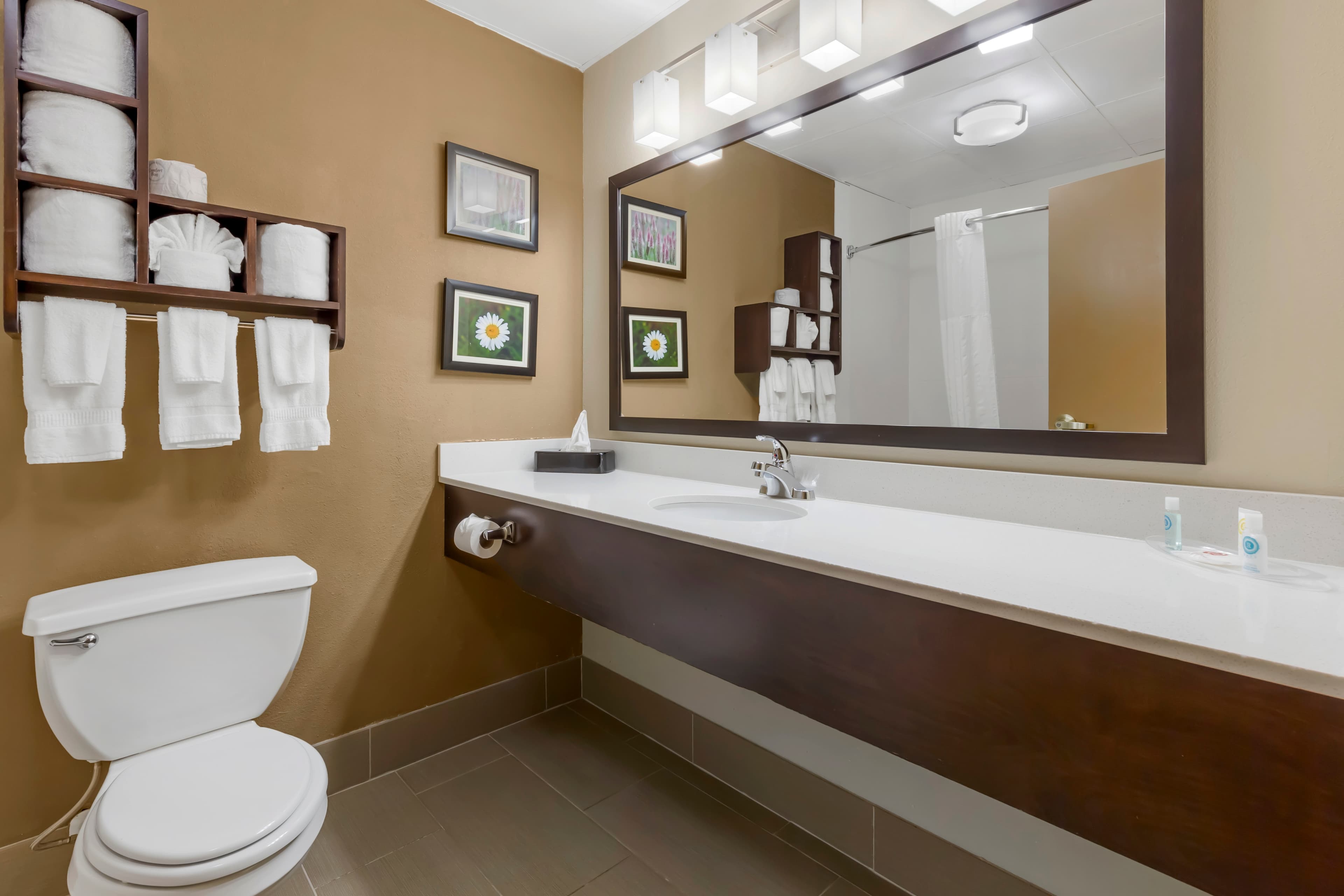 Comfort Suites Regency Park — 12