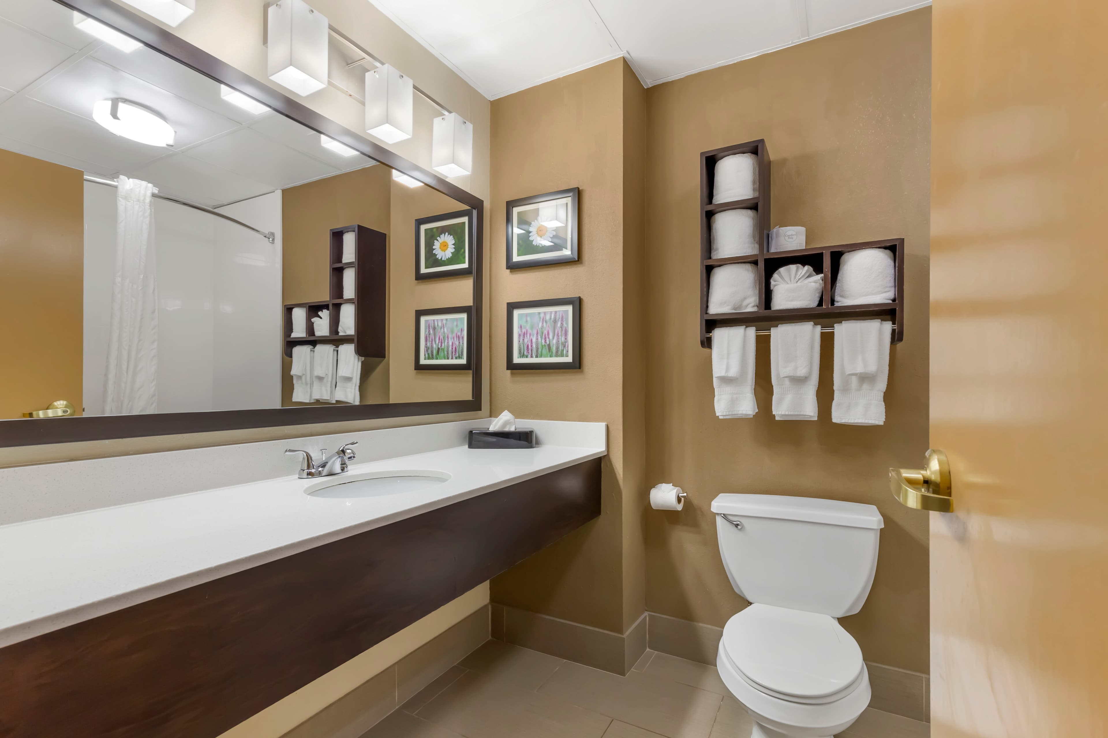 Comfort Suites Regency Park — 16