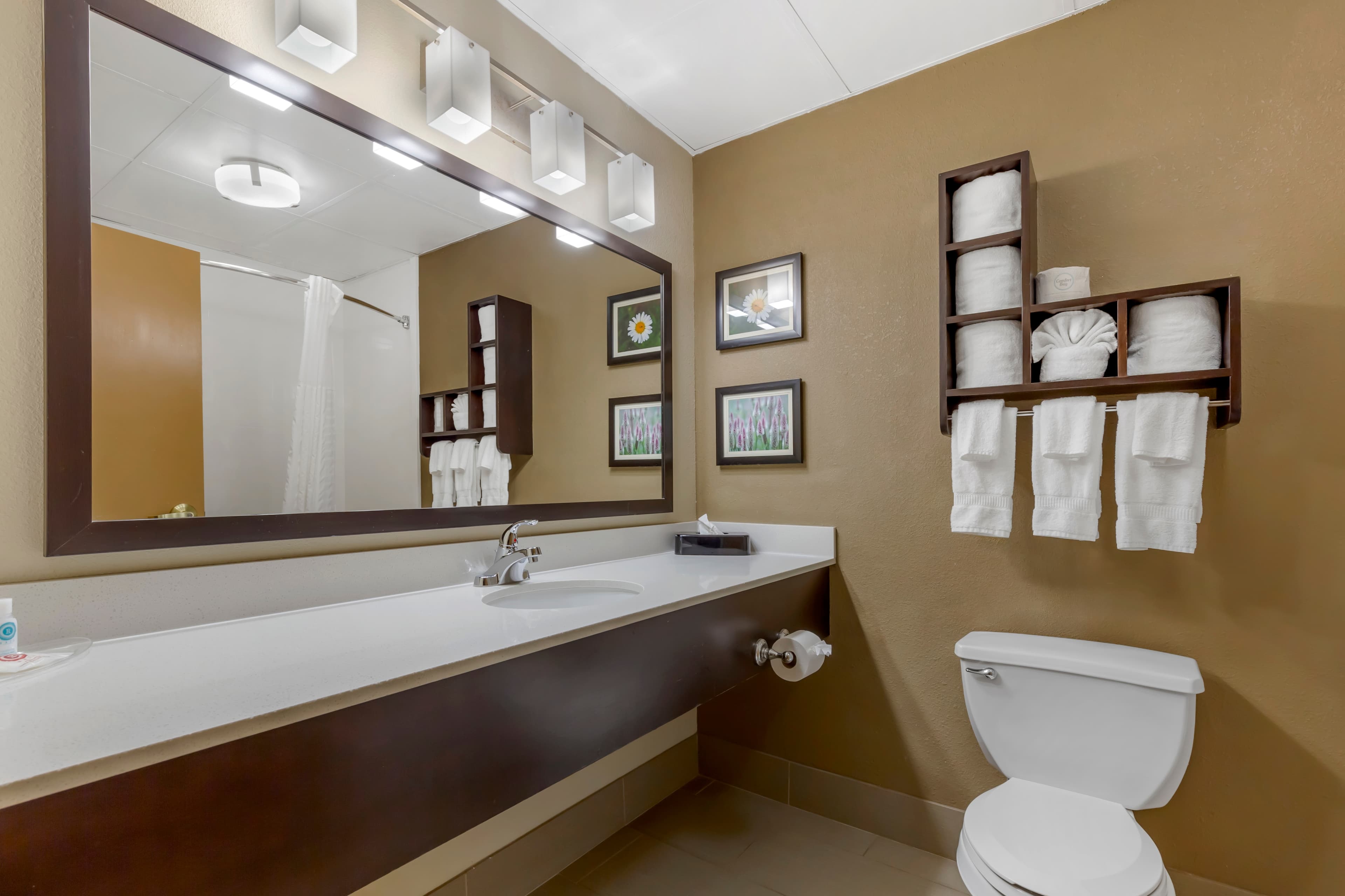 Comfort Suites Regency Park — 27