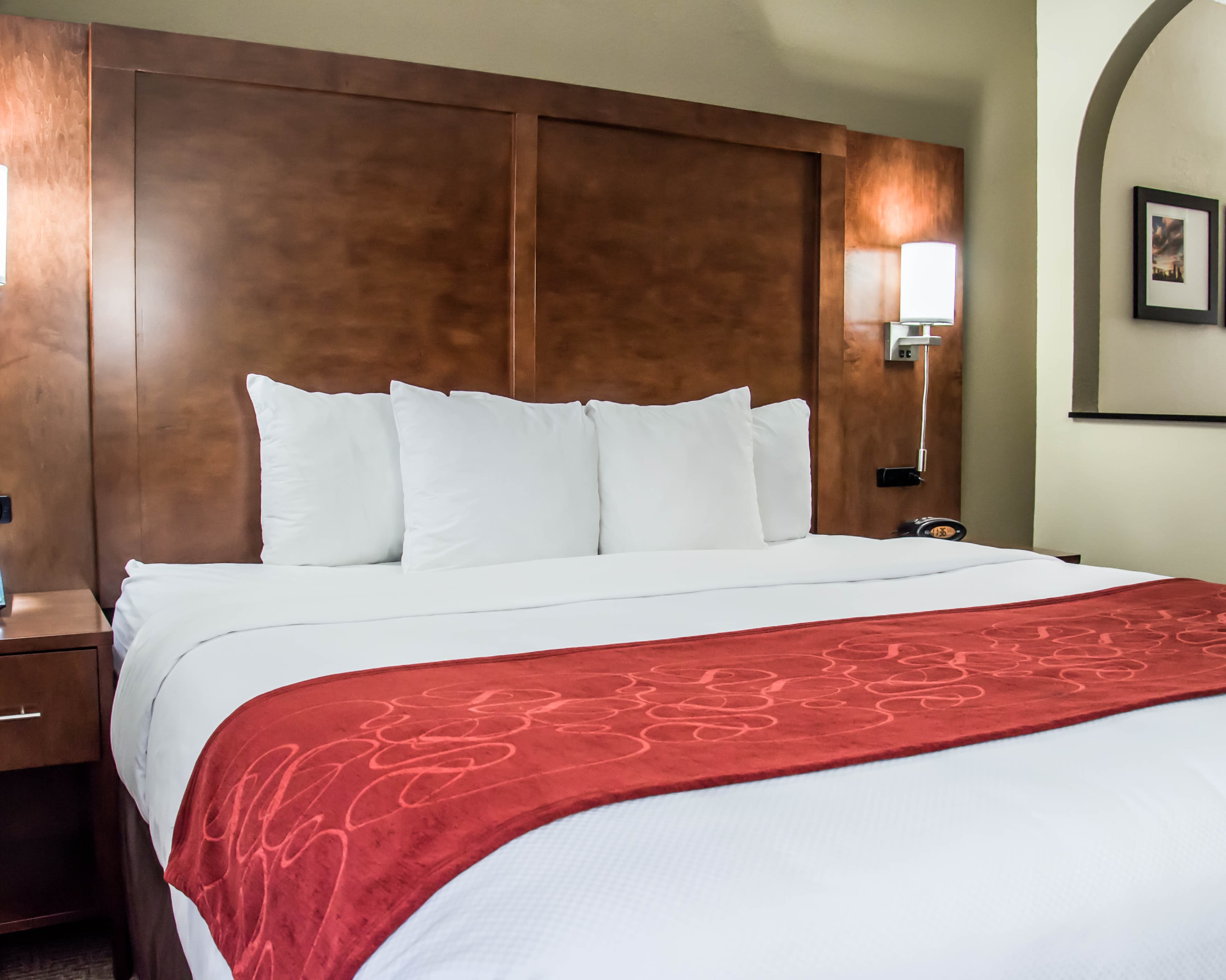 Comfort Suites University - Research Park - Image 4