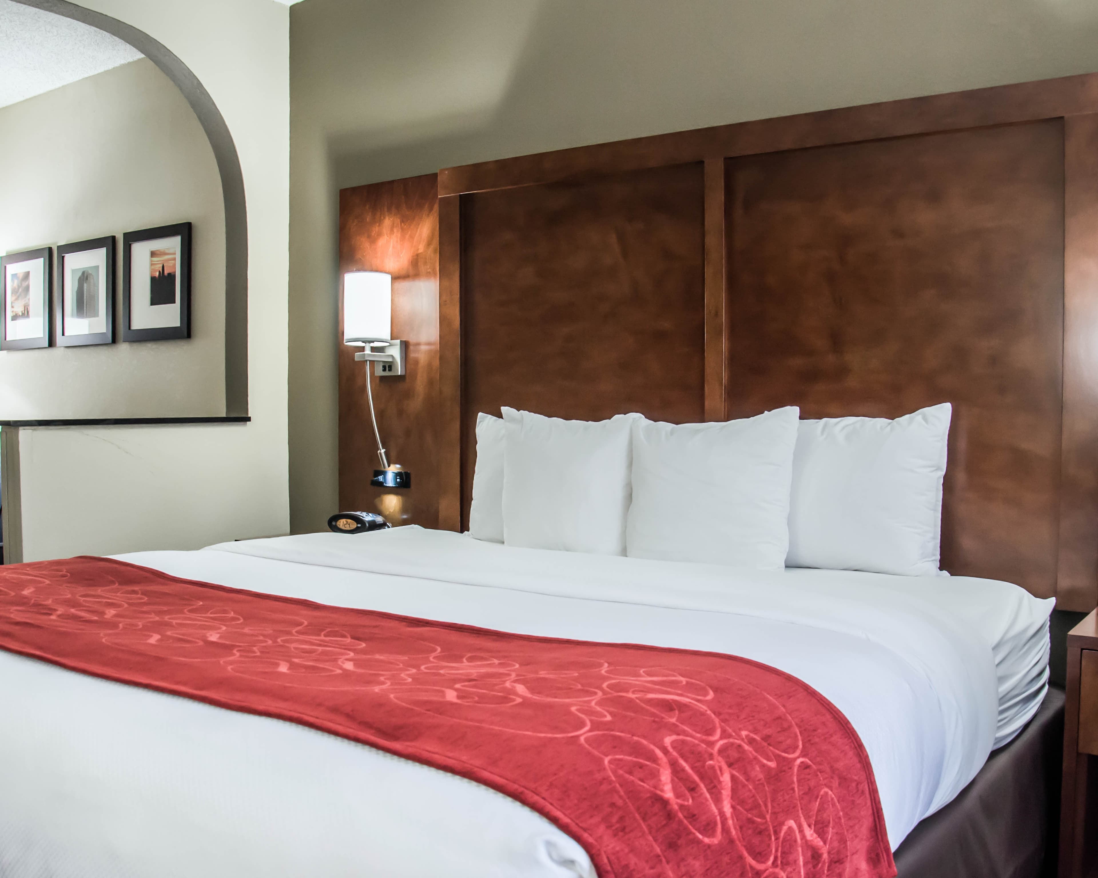 Comfort Suites University - Research Park — 14