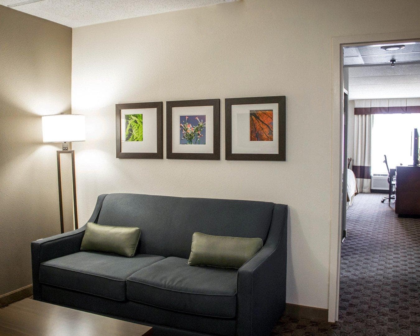 Comfort Inn & Suites Fuquay Varina — 9