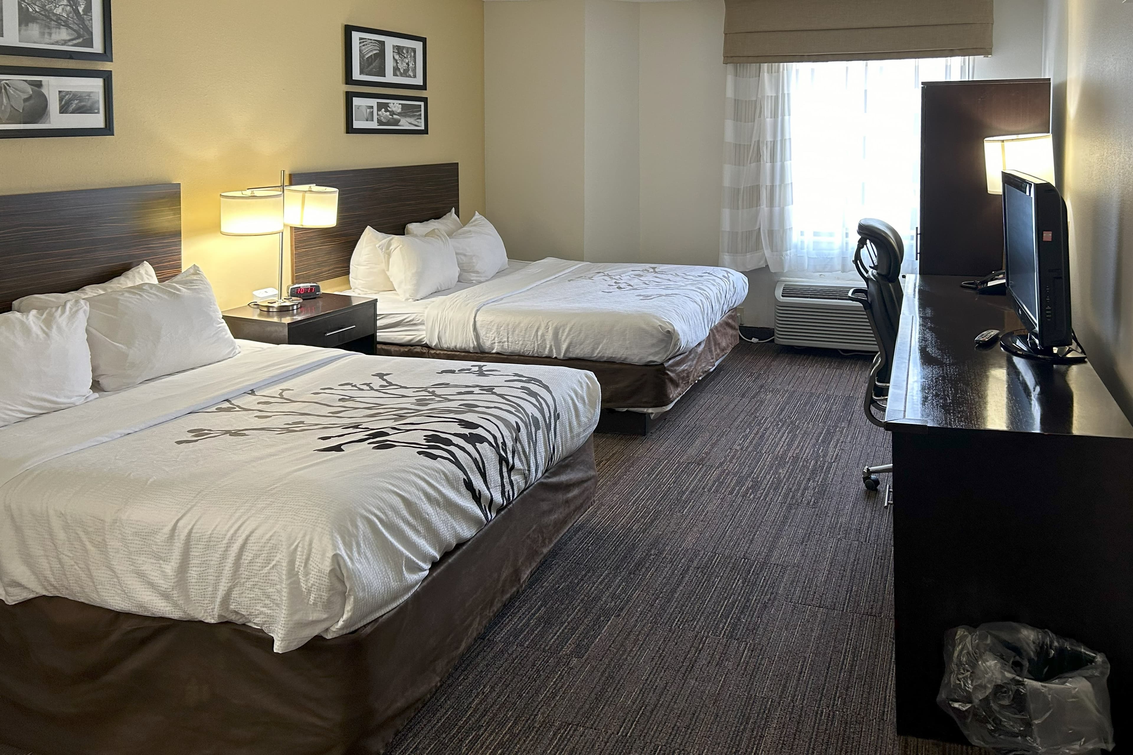 Sleep Inn Wilson near I-95 — 11