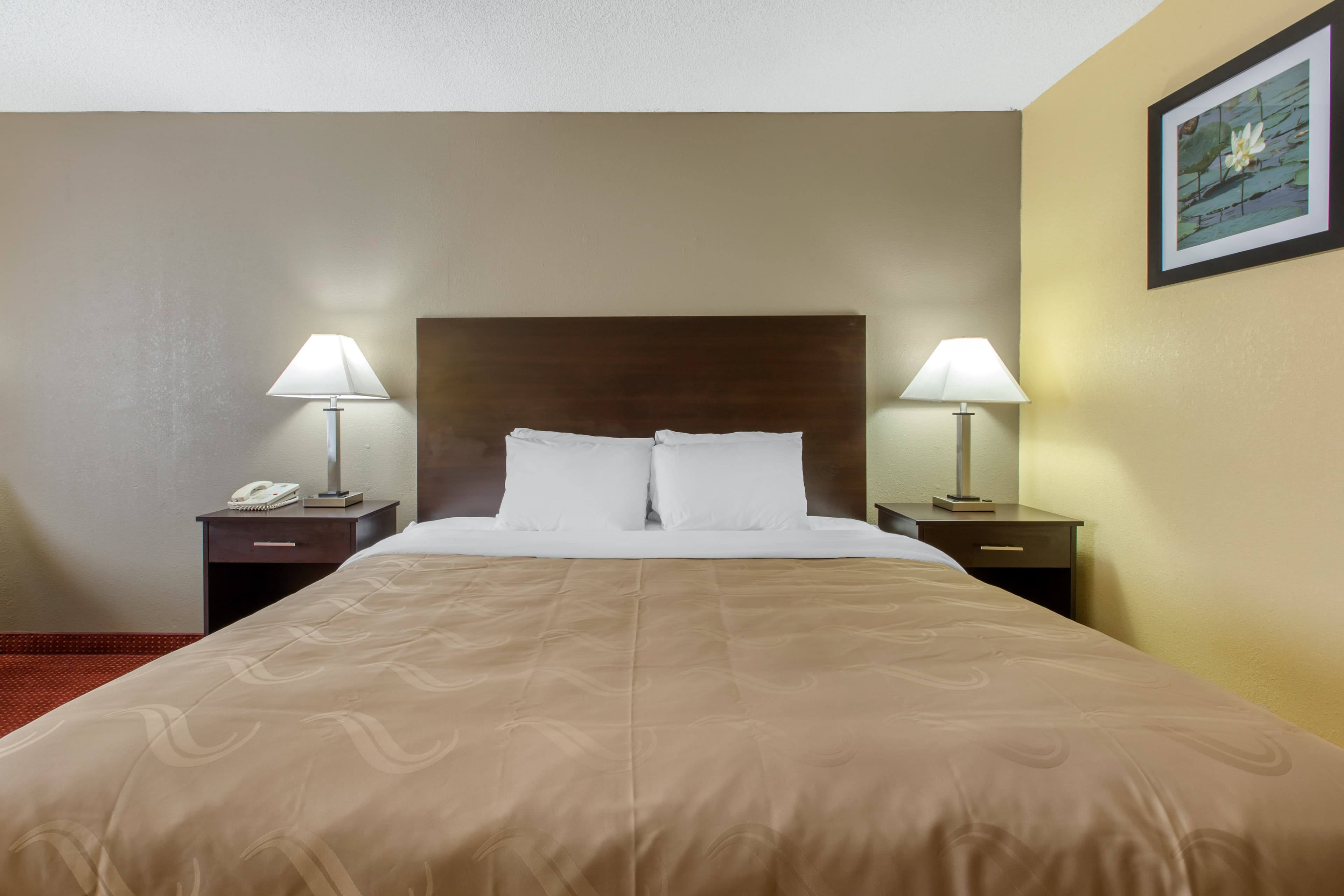 Quality Inn Williamston — 9
