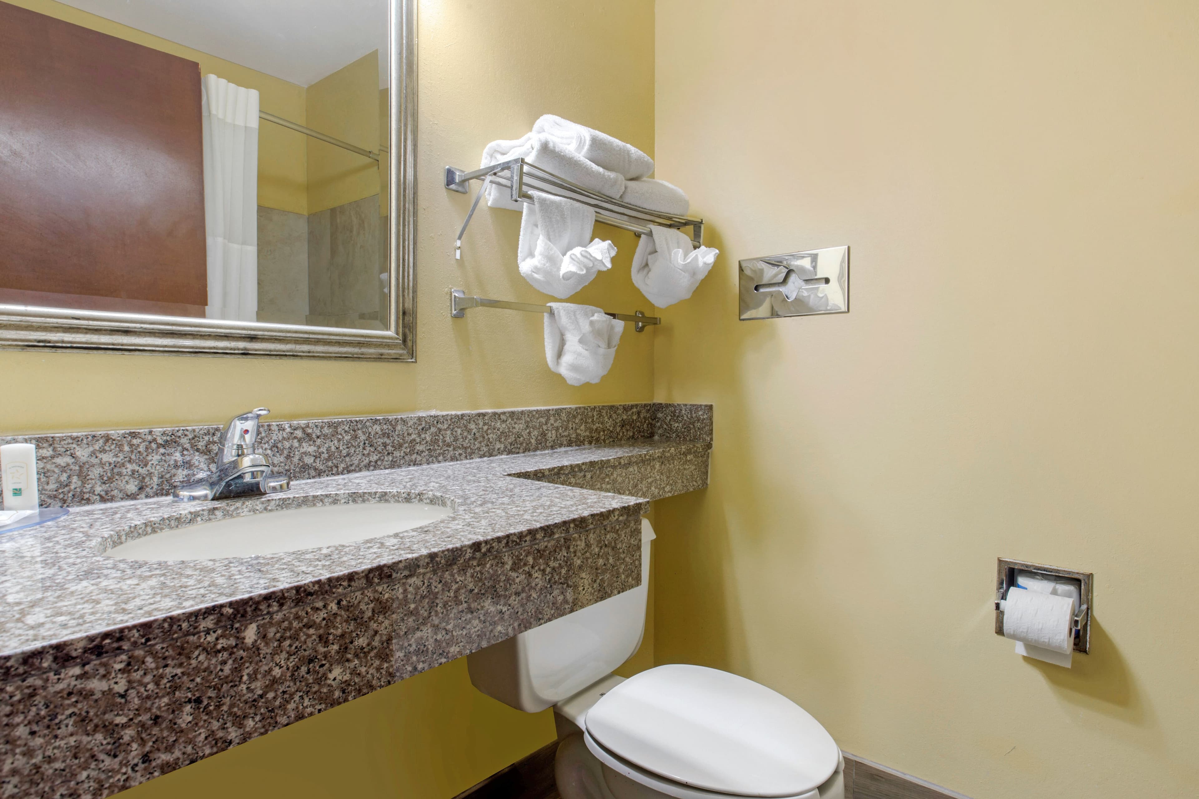 Quality Inn Williamston — 16