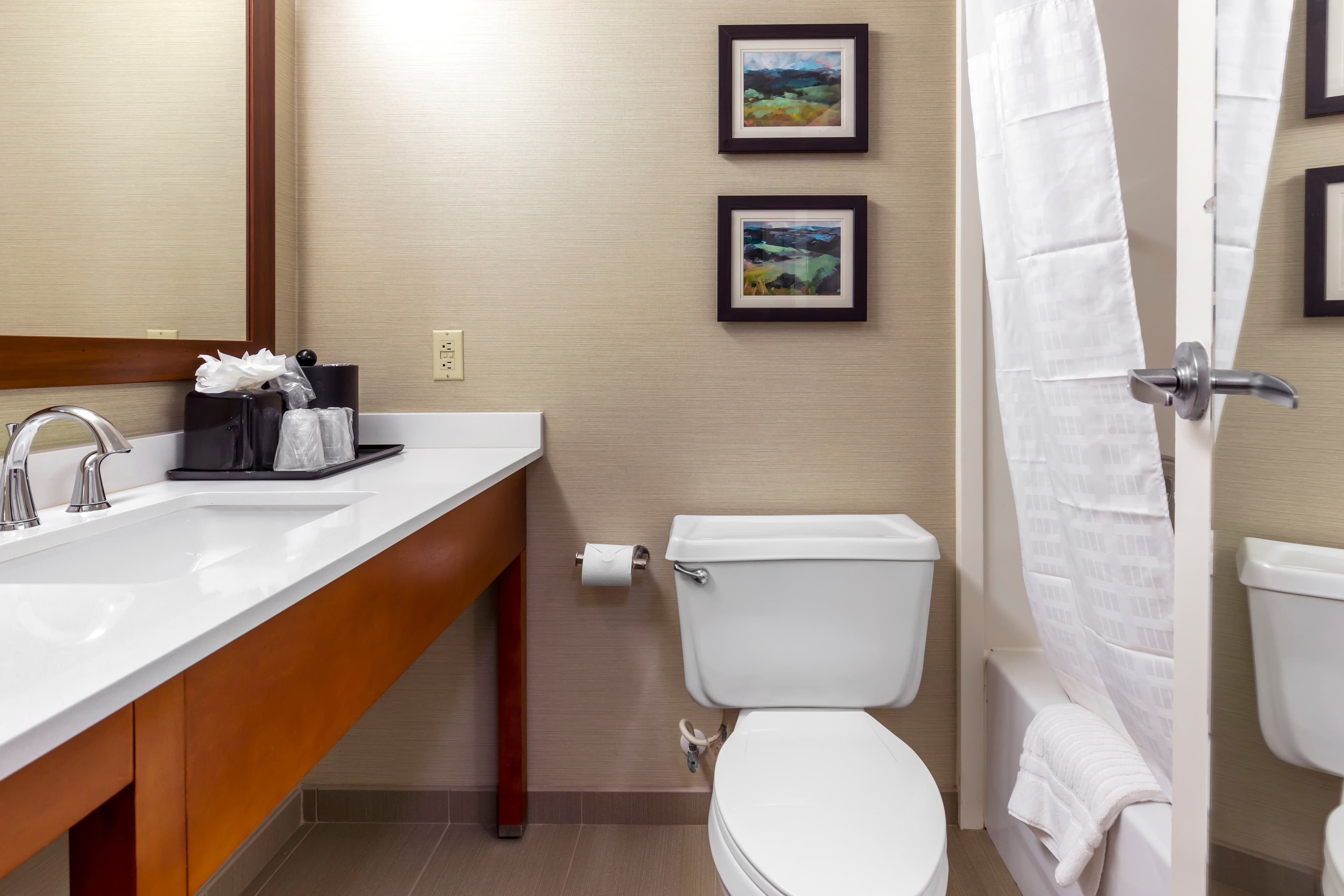 Comfort Inn University Durham - Chapel Hill — 12