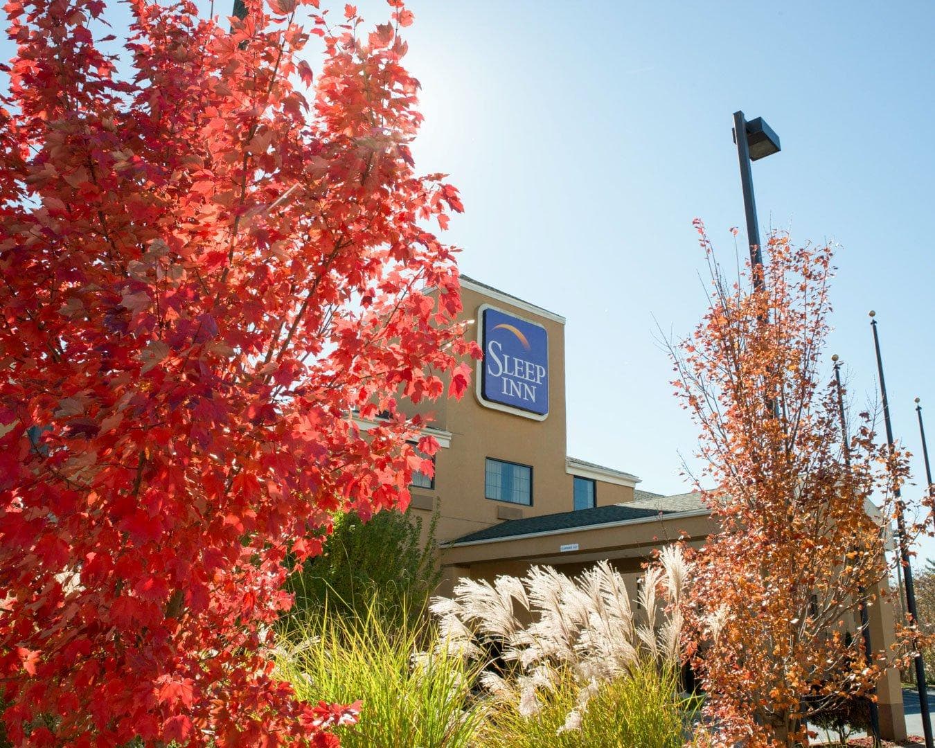 Sleep Inn Asheville - Biltmore West - Image 1