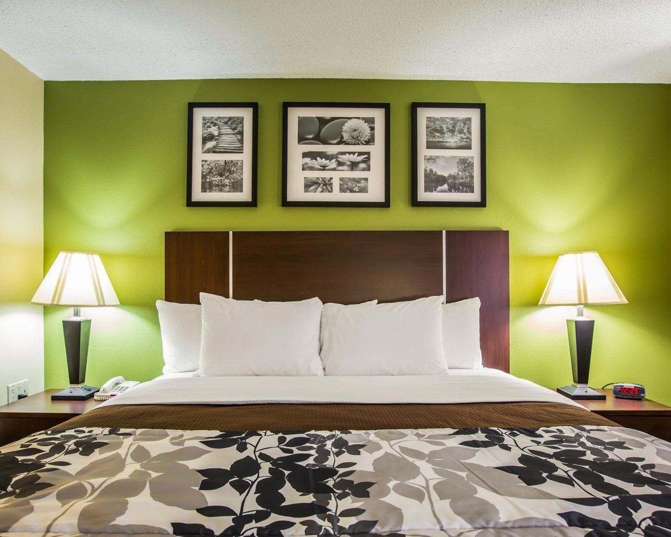 Sleep Inn Asheville - Biltmore West - Image 2