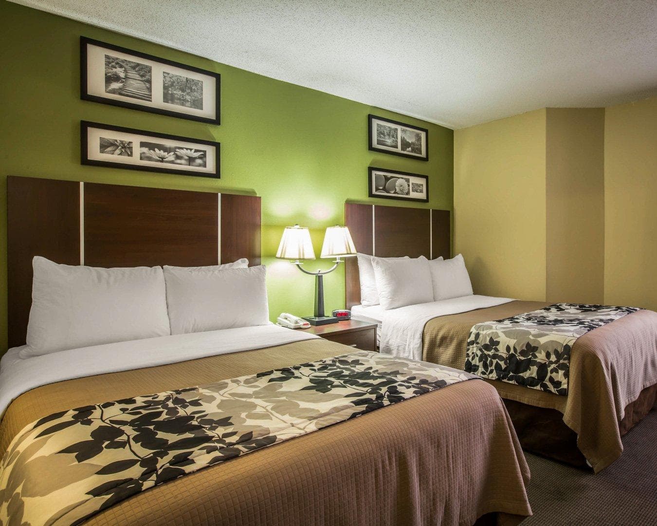 Sleep Inn Asheville - Biltmore West — 13