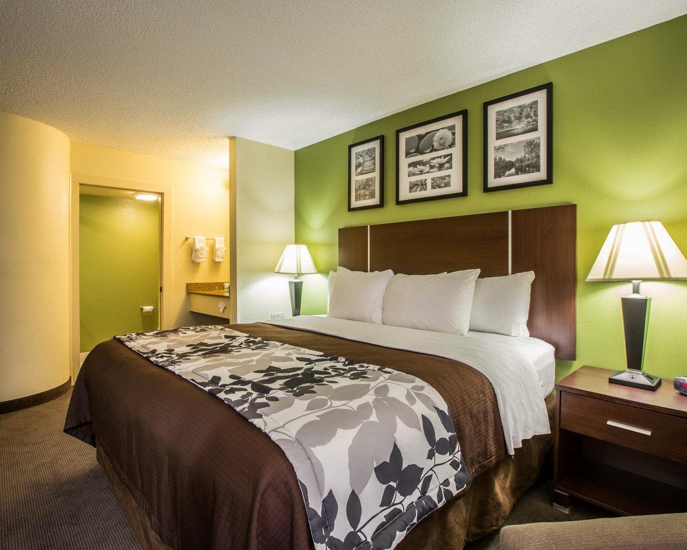Sleep Inn Asheville - Biltmore West - Image 4