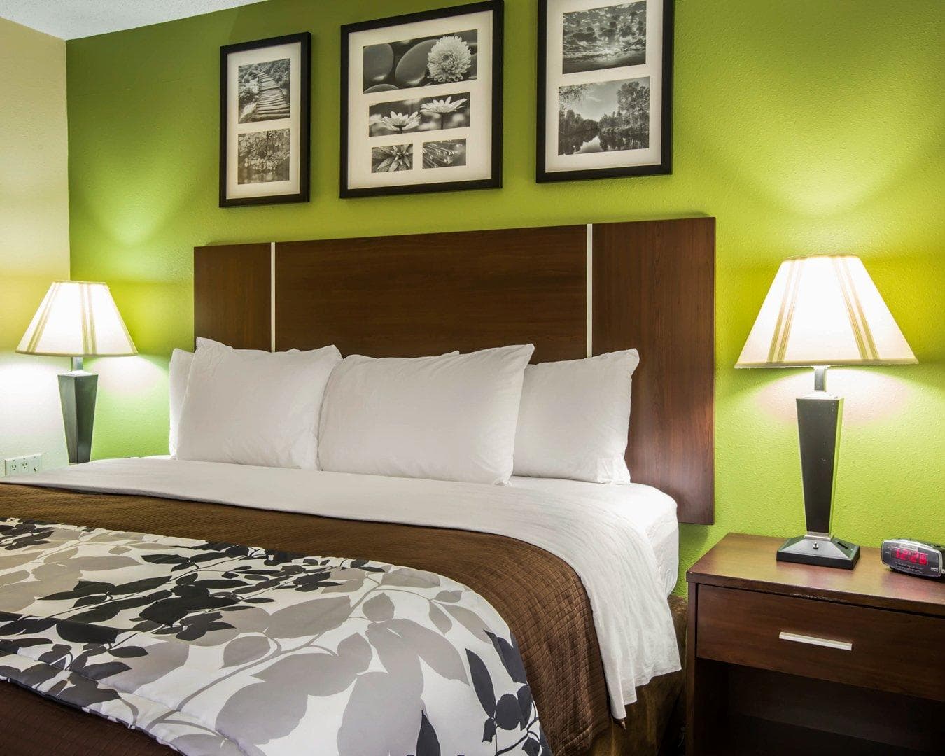 Sleep Inn Asheville - Biltmore West — 6