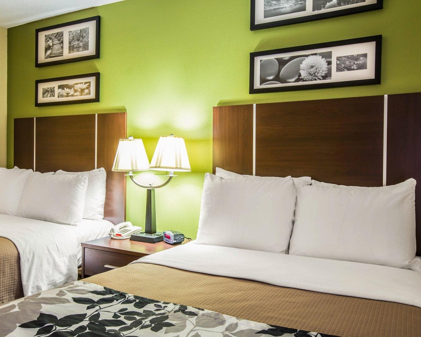 Sleep Inn Asheville - Biltmore West — 10