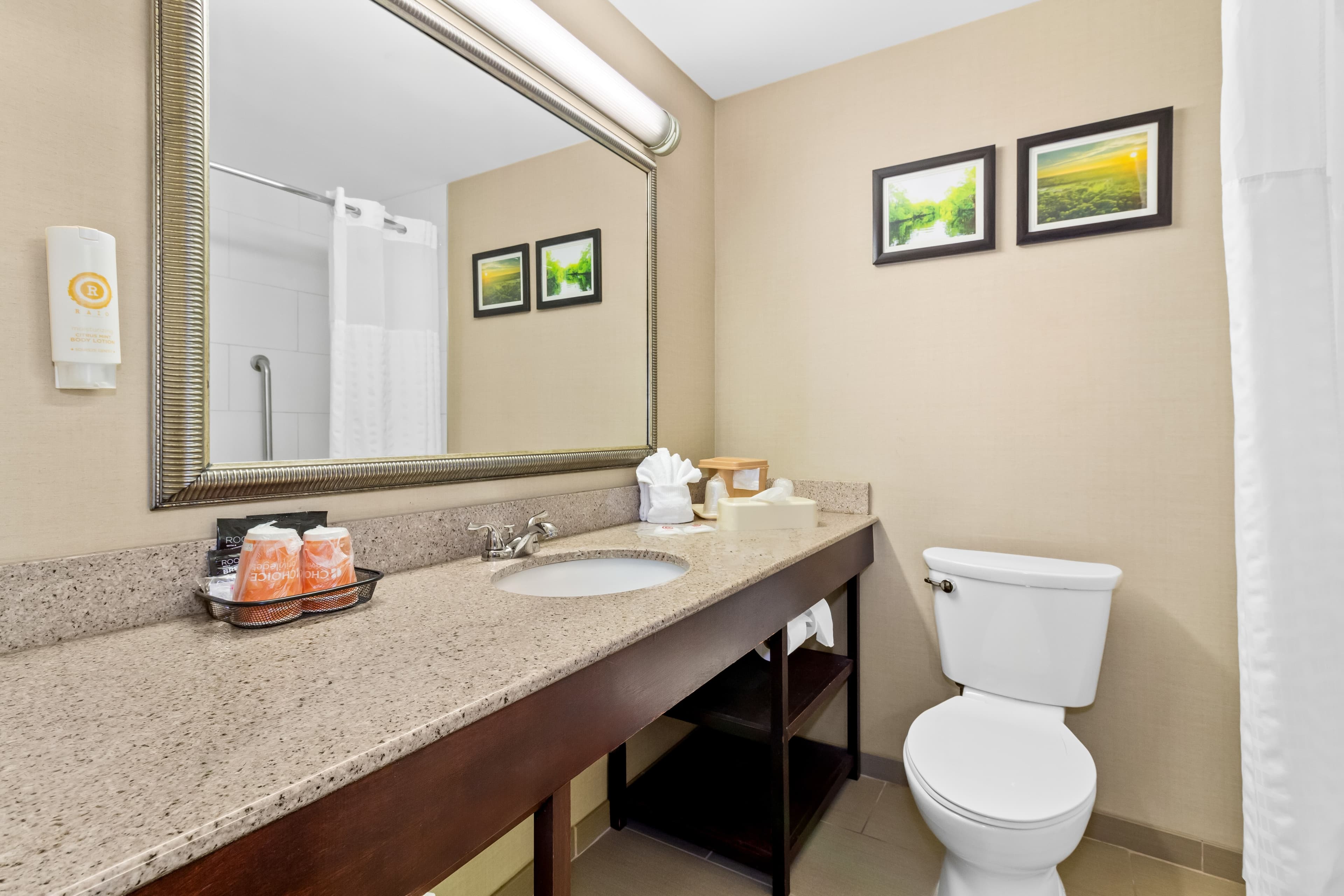 Comfort Suites Lumberton North — 6