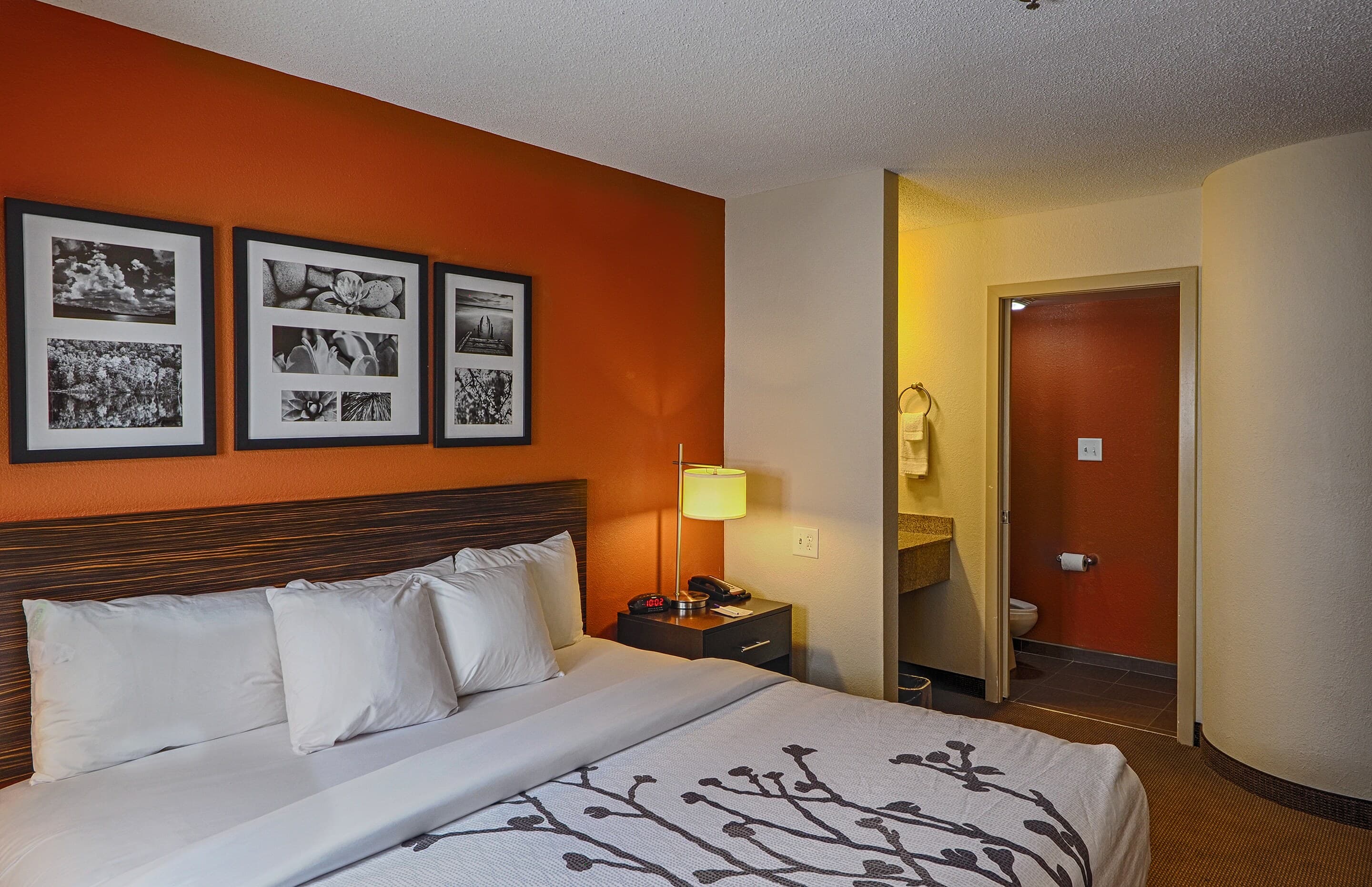 Sleep Inn & Suites Spring Lake - Fayetteville near Fort Bragg — 7