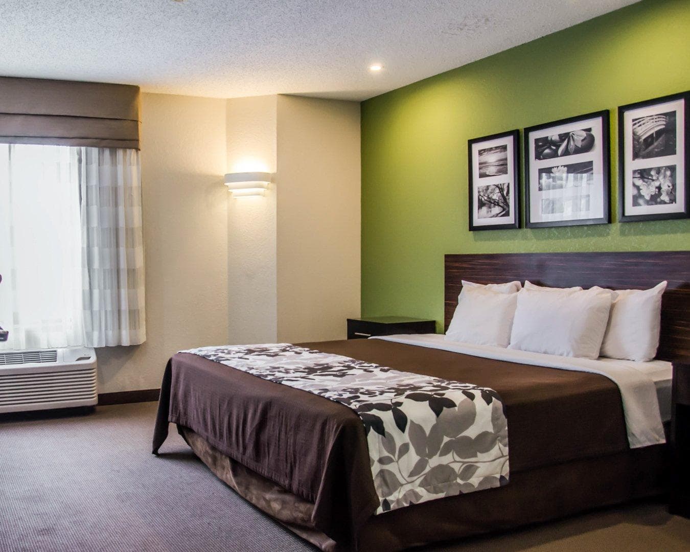 Sleep Inn Concord - Kannapolis - Image 1