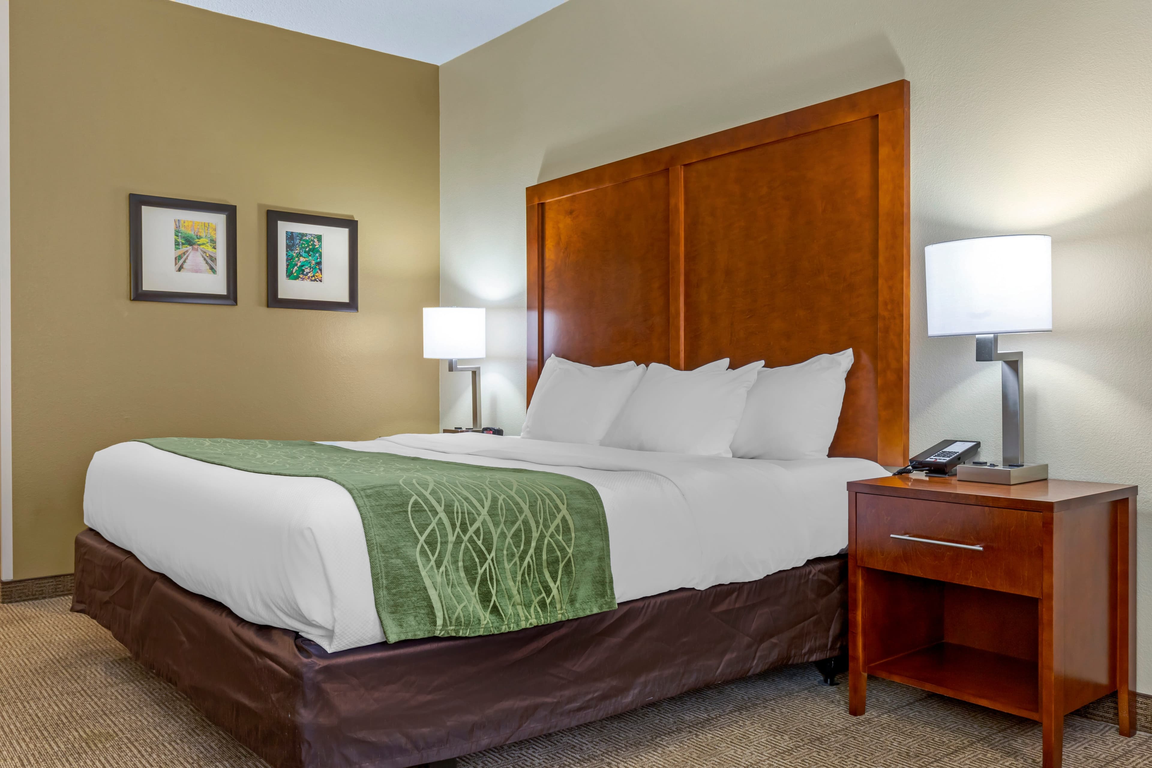 Comfort Inn & Suites Lenoir Hwy 321 Northern Foothills - Image 5