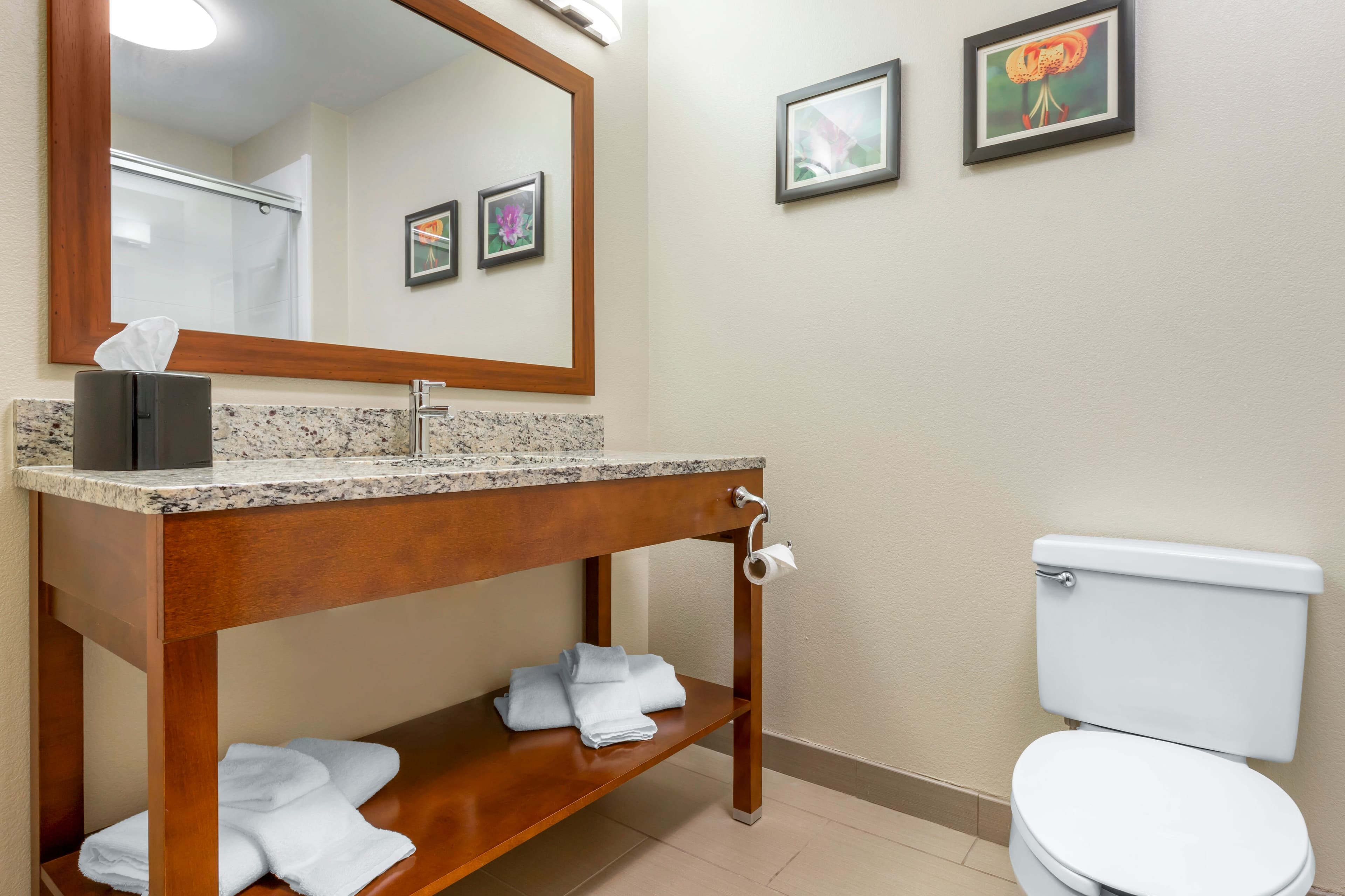 Comfort Inn & Suites Lenoir Hwy 321 Northern Foothills — 13
